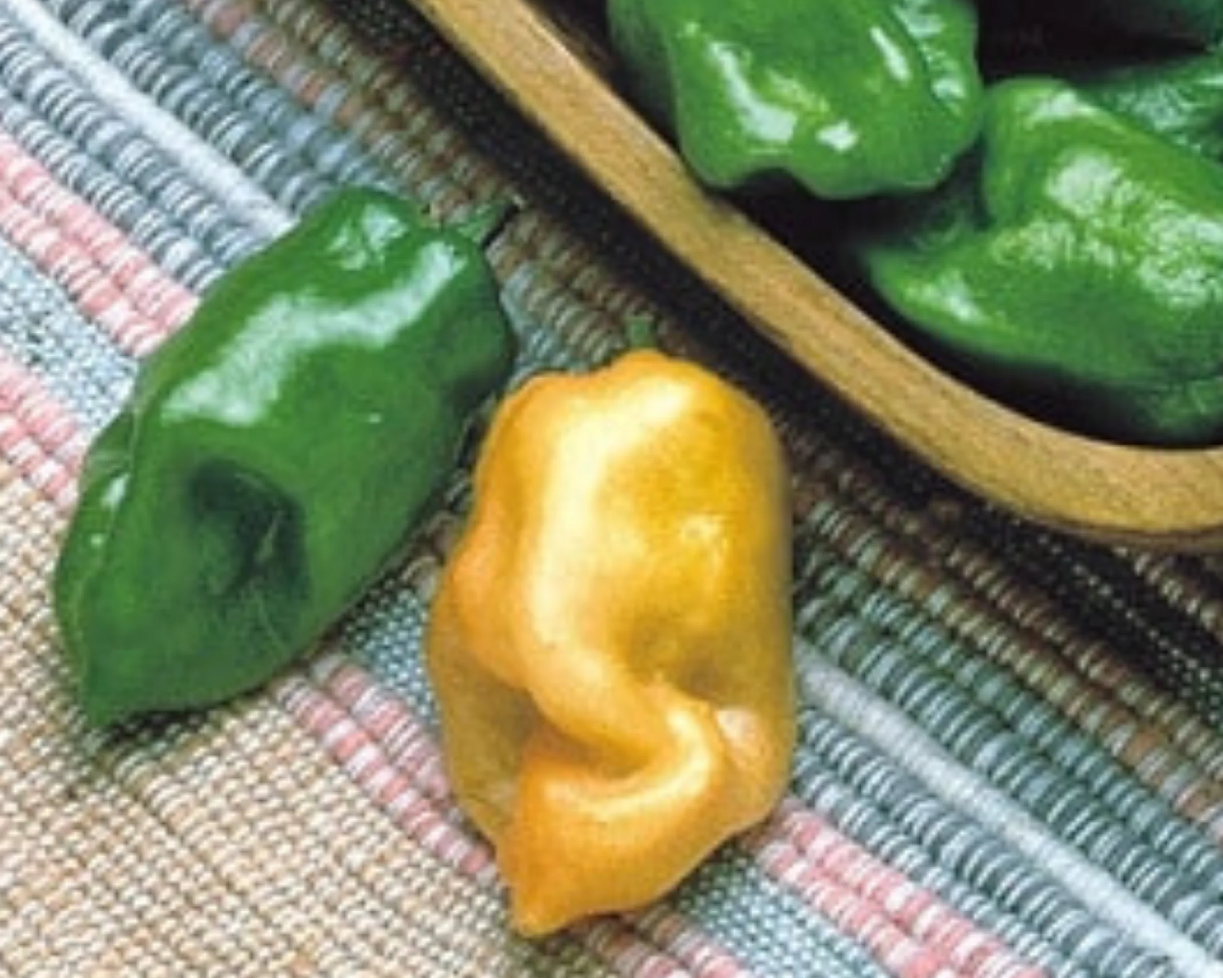 Habanero Orange Hot Pepper Seeds - Image 2
