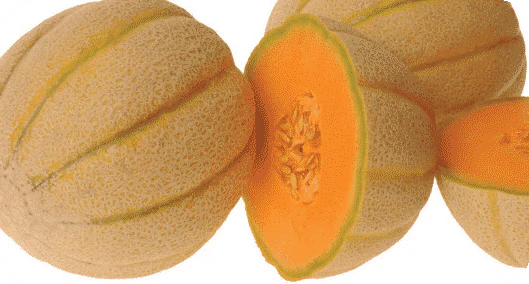 Halona Hybrid Melon Seeds - Image 2