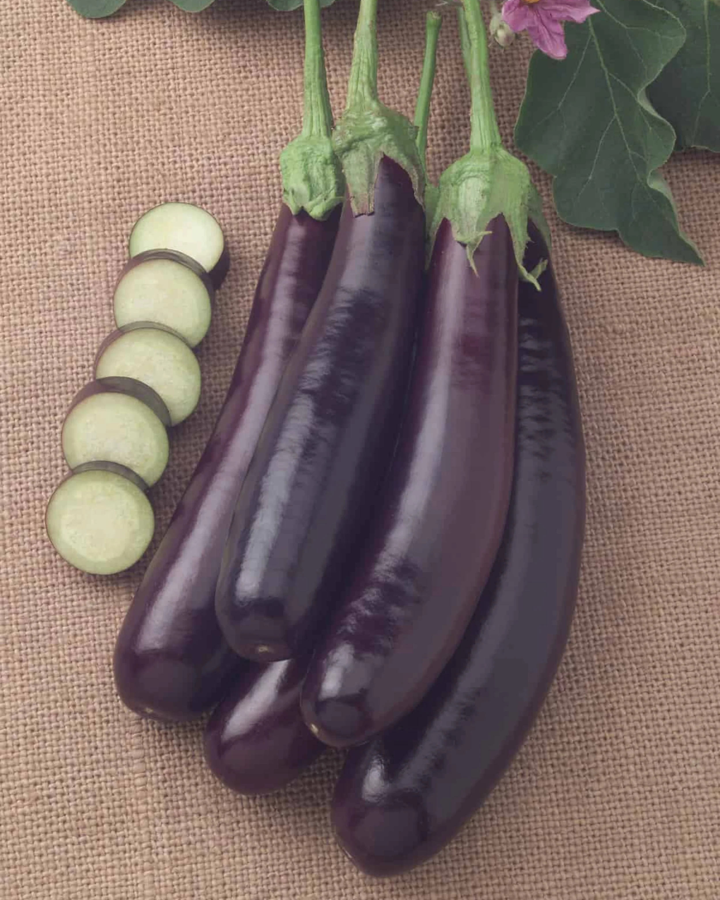 Hansel Hybrid Eggplant Seeds - Image 3