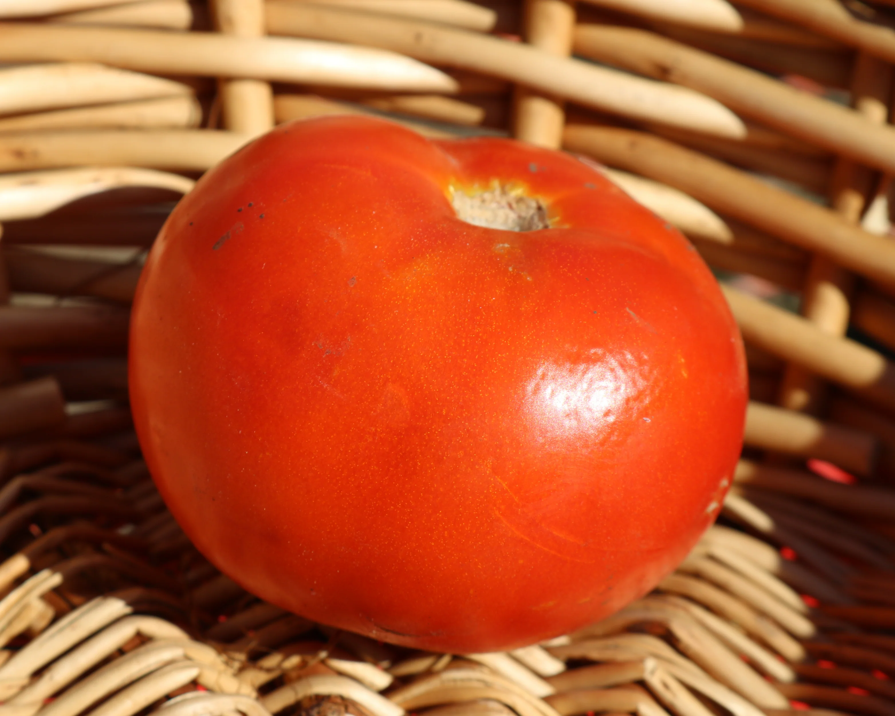 Heatmaster Hybrid Tomato Seeds - Image 2