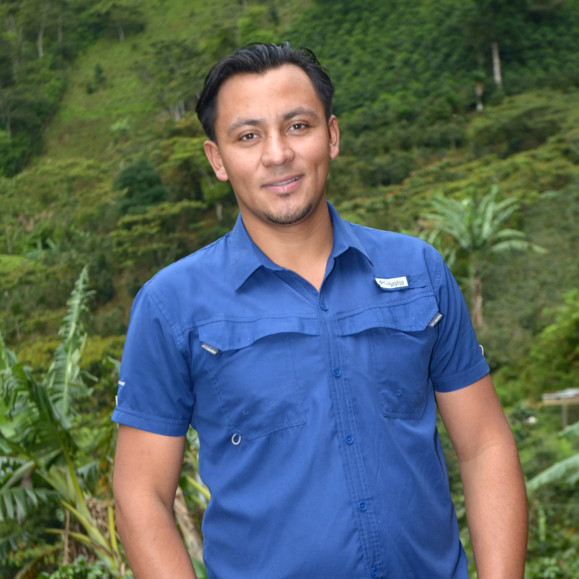 Honduran Cup of Excellence Parainema Coffee - Image 4