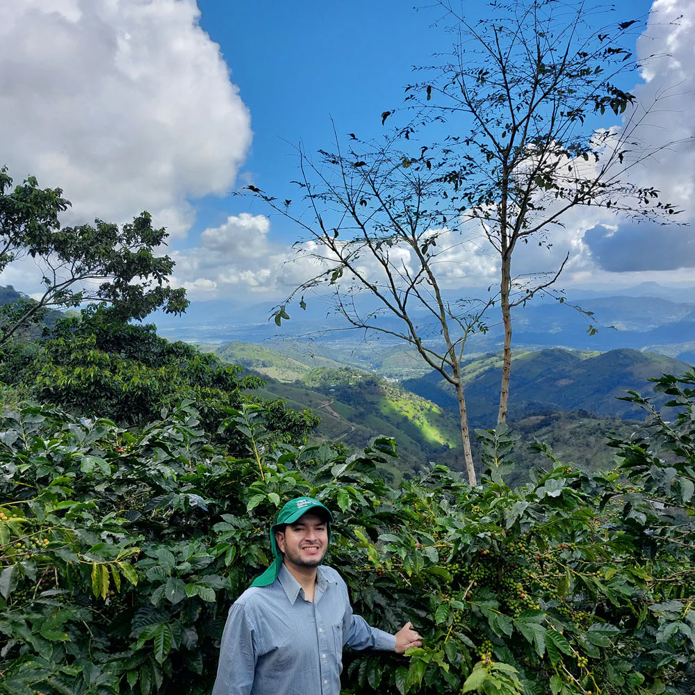 Honduran Espresso Blend Coffee - Image 7
