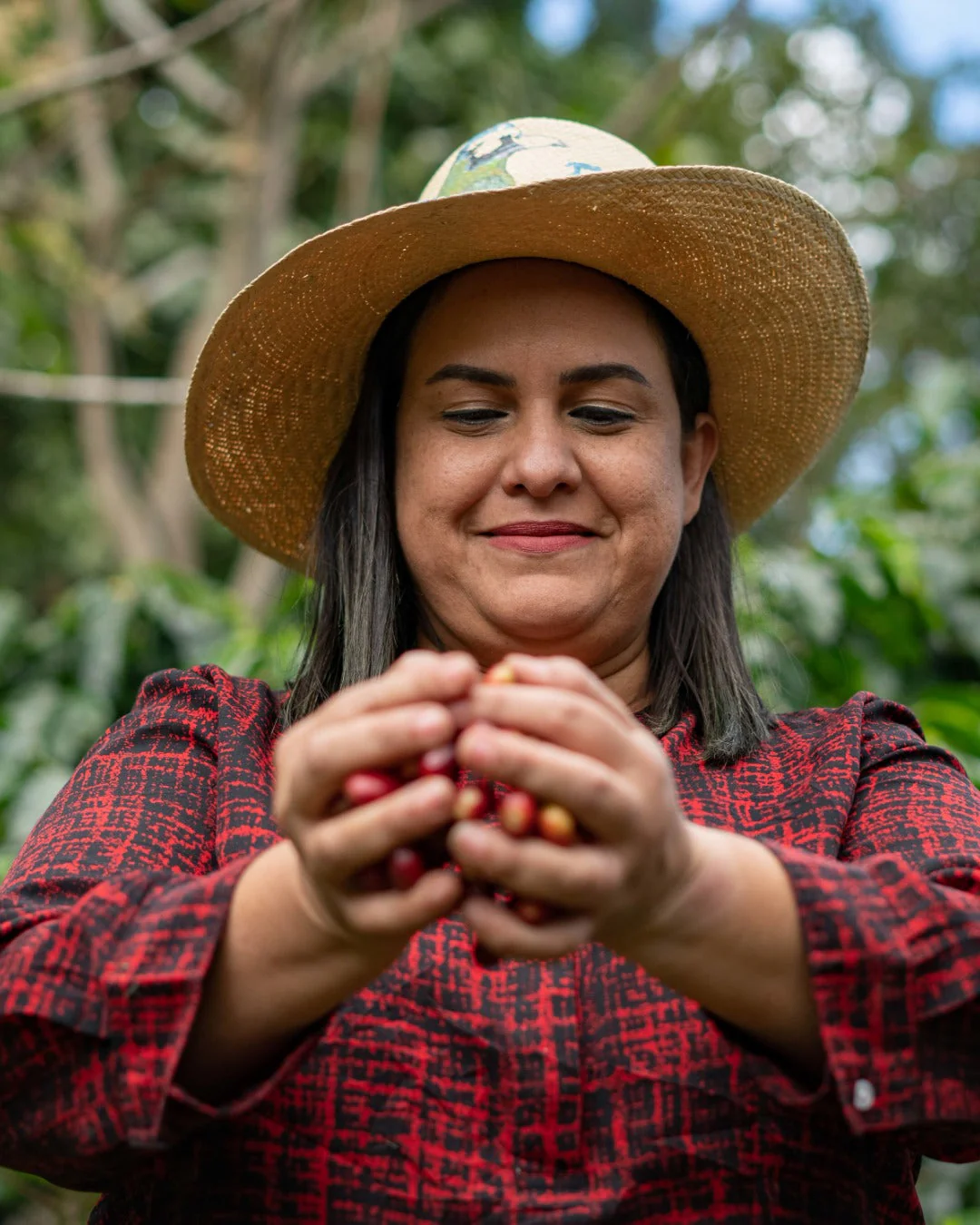 Honduran Parainema Coffee - Image 7