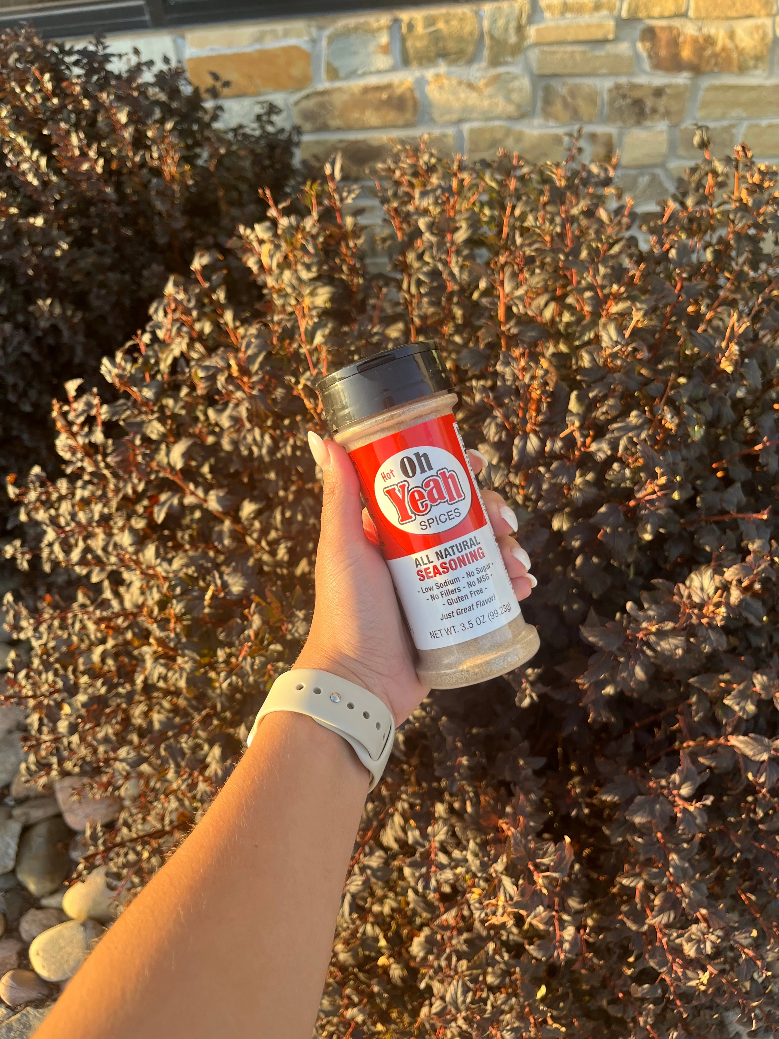 Hot All Natural Spice | Pack of 3 | 3.5 oz. Bottle | 12 All-Natural Herbs | Low Sodium | Gluten and Sugar Free | A Taste of Nebraska | No MSG or GMOs | Great for Meat, Veggies, Soups, Cheeses, and Pizza | Packed With Flavor | Delicious and Nutritious - Image 5