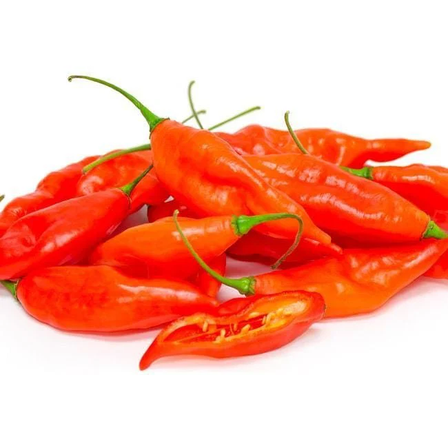 Hot Paper Lantern Pepper Seeds - Image 3