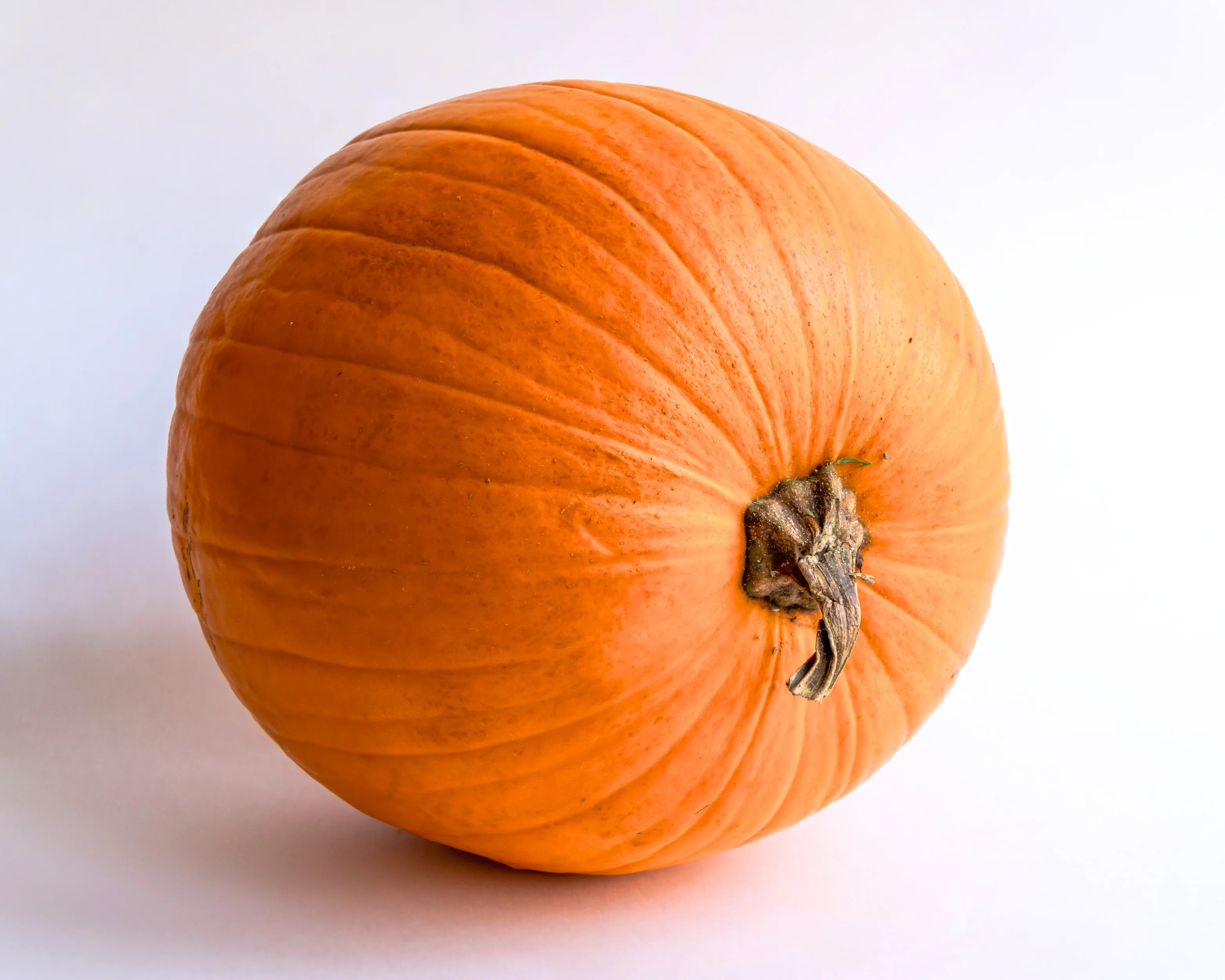 Howden Pumpkin Seeds - Image 2