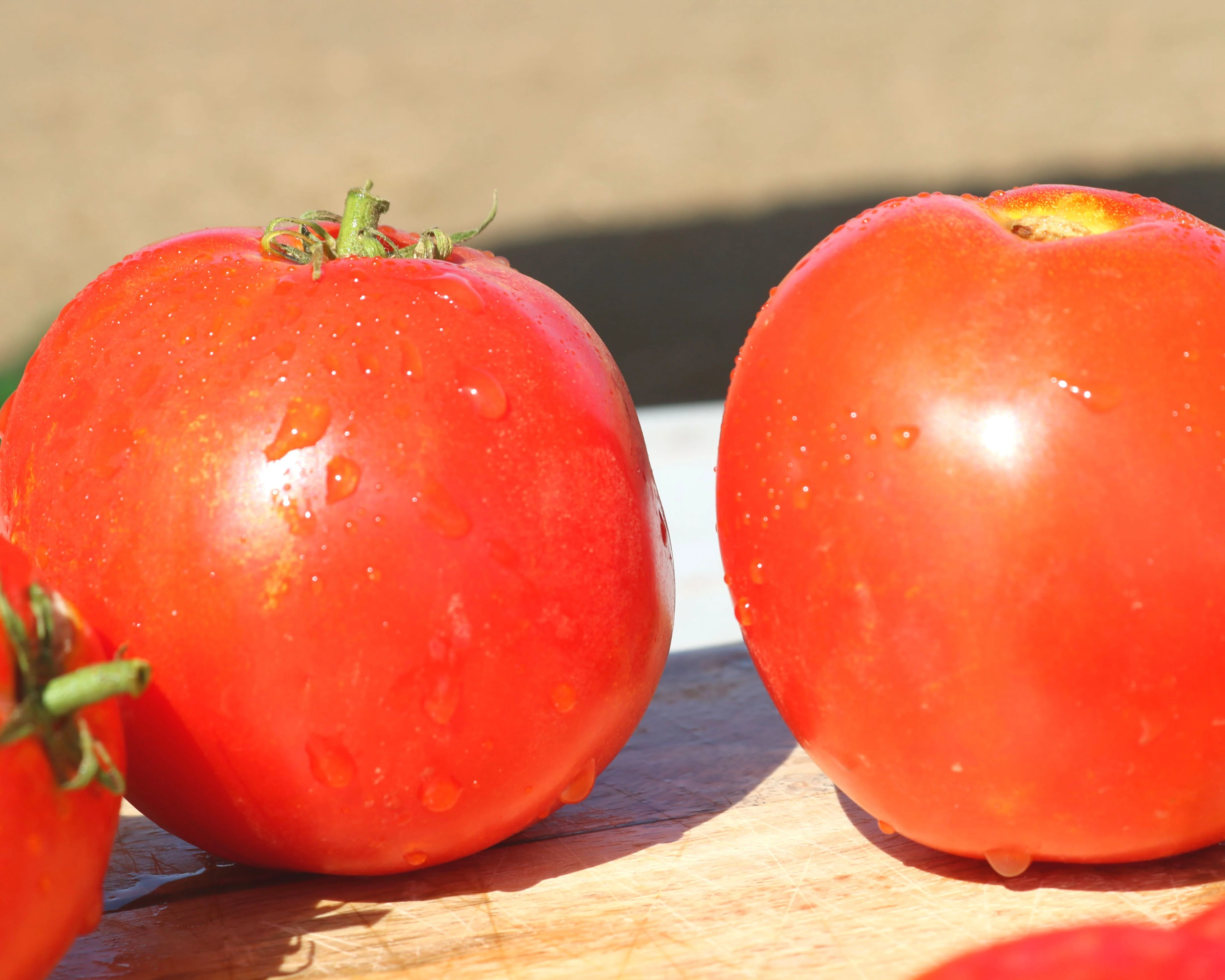 Husky Red Hybrid Tomato Seeds - Image 2
