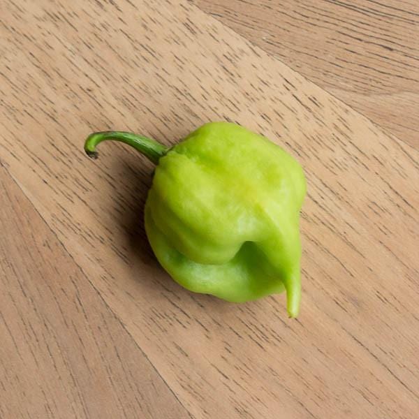 I Scream Scorpion Pepper Seeds - Image 2