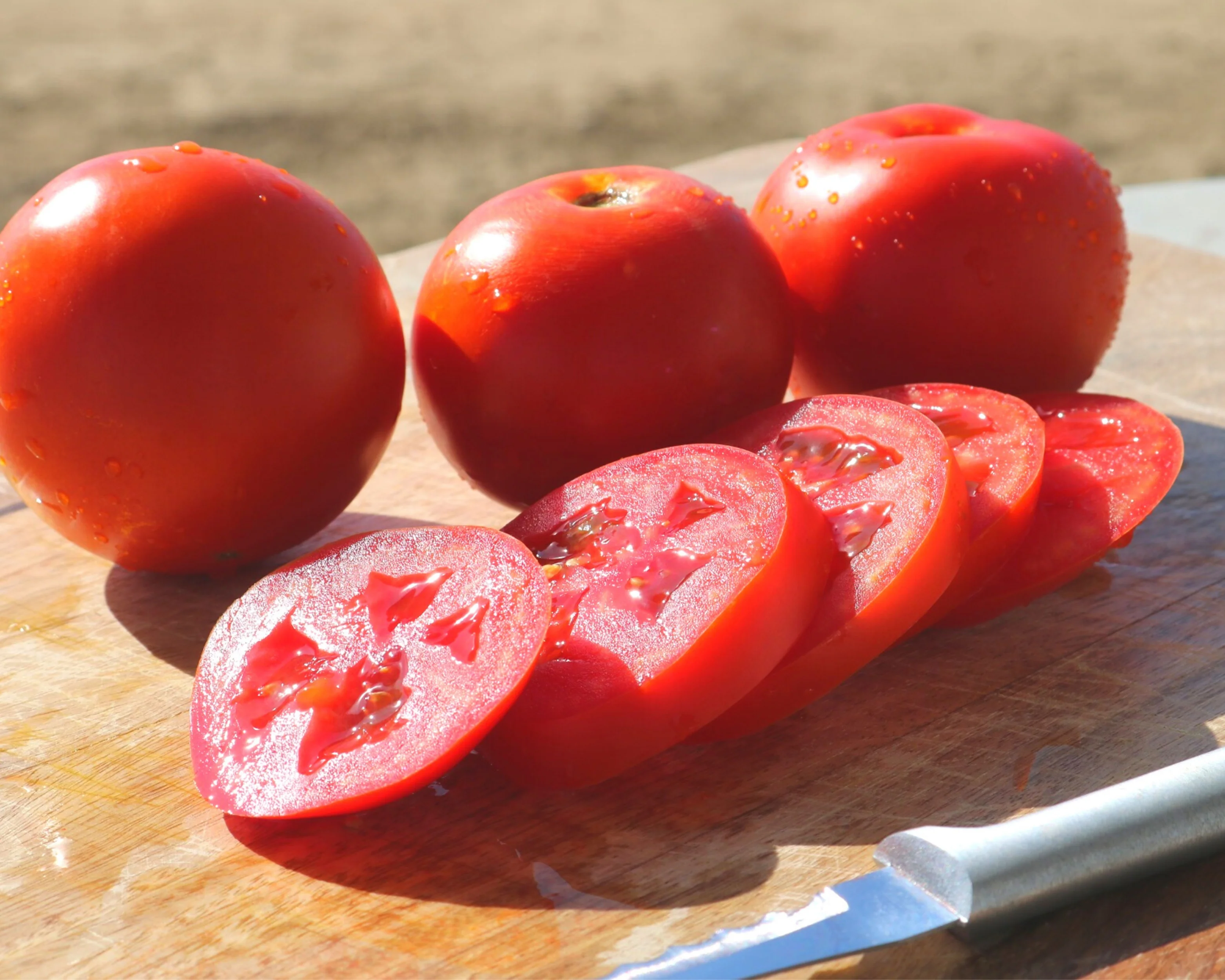 Itz a Keeper Hybrid Tomato Seeds - Image 2