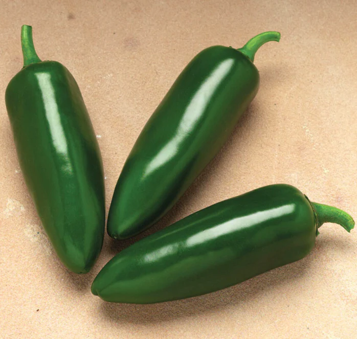 Jalafuego Hybrid Pepper Seeds - Image 2