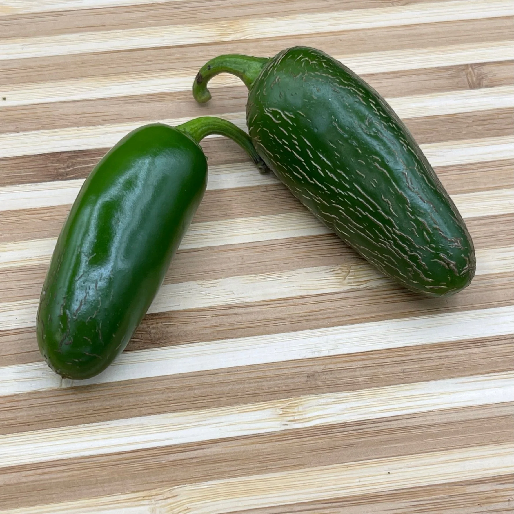 Jalapeño M - Seeds - Image 2