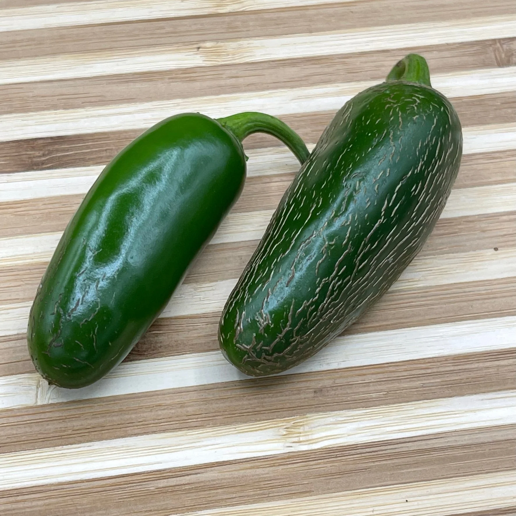 Jalapeño M - Seeds - Image 3