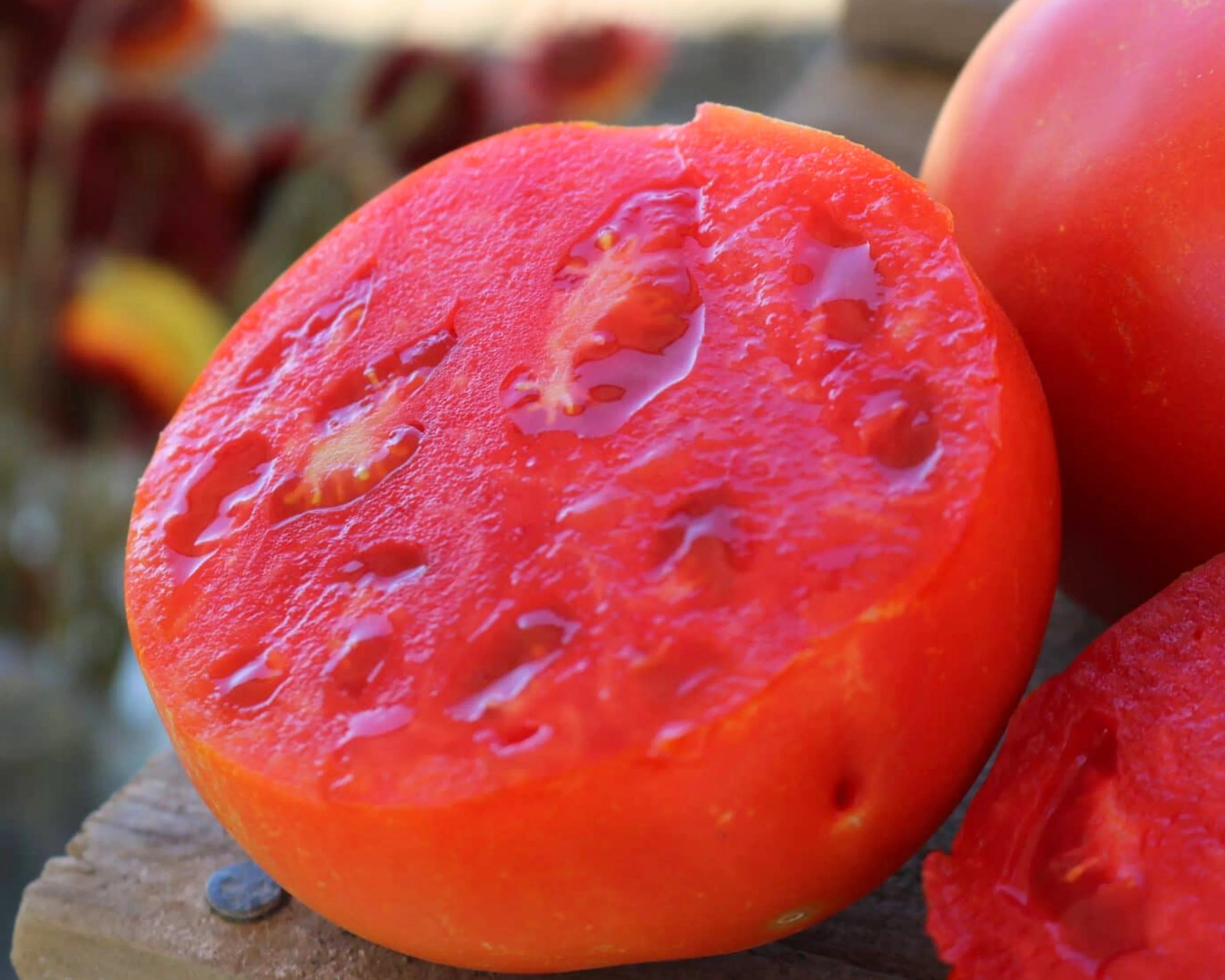 Jamestown Hybrid Tomato Seeds - Image 2