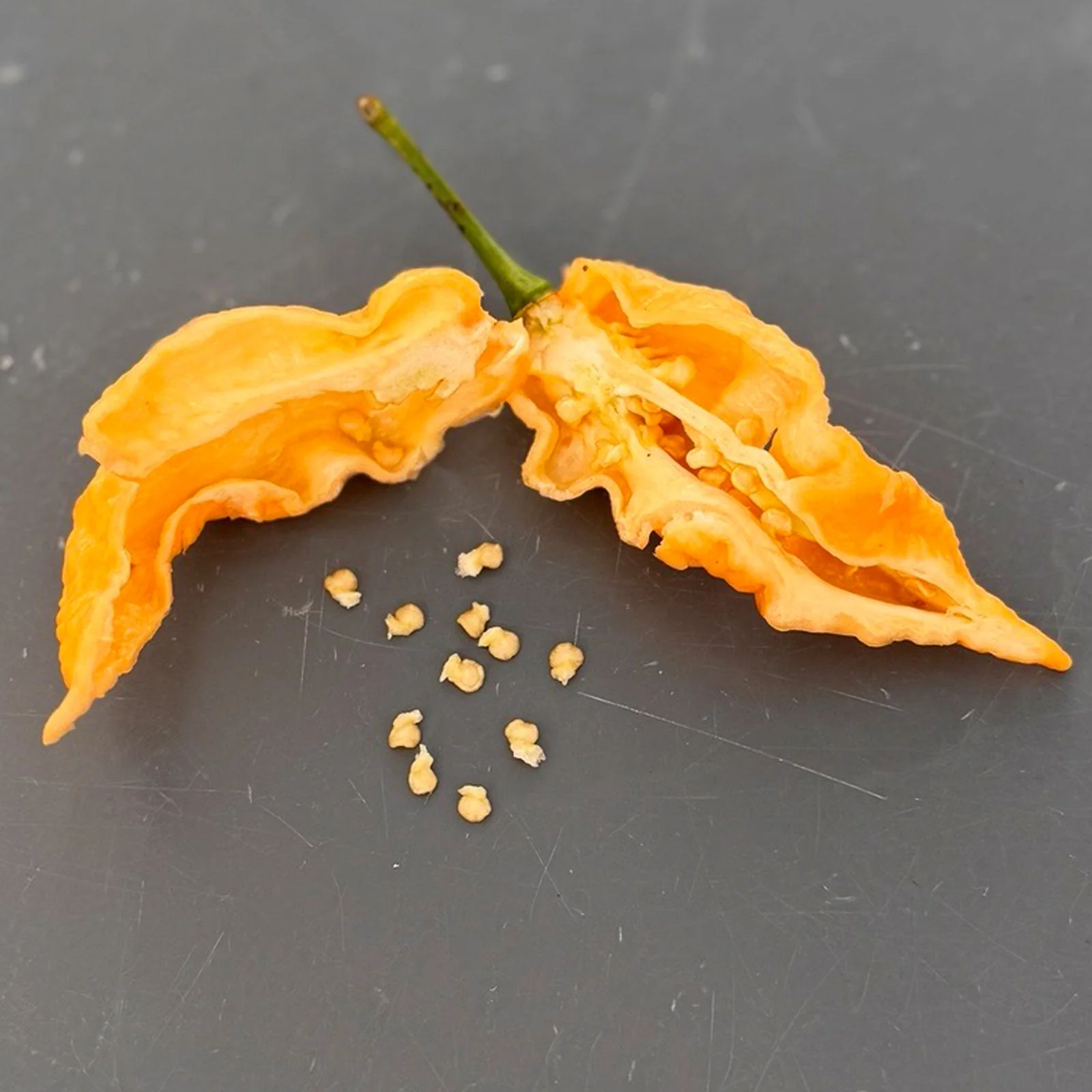 Jay's Peach Ghost Scorpion Pepper Seeds - Image 4