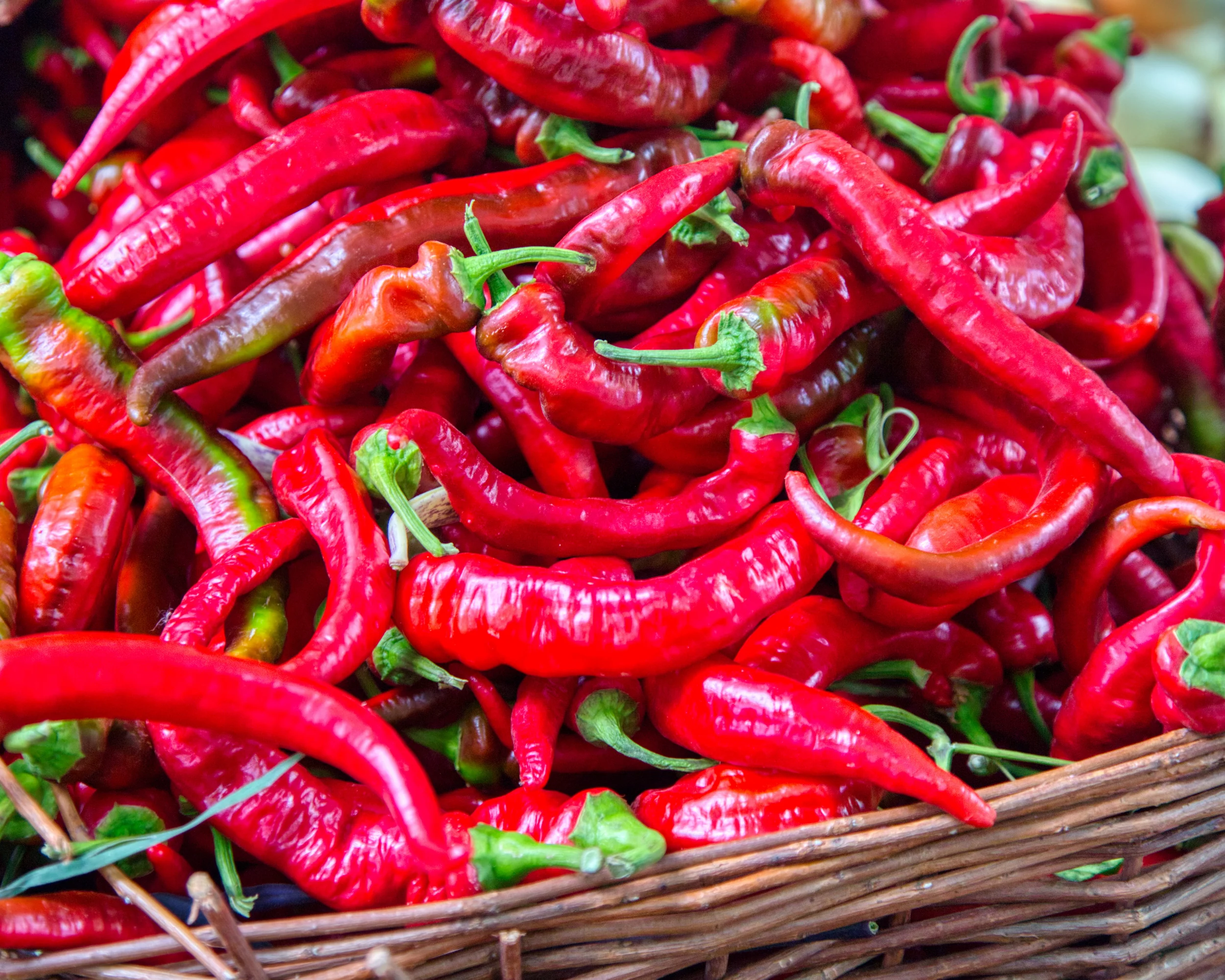 Jimmy Nardello's Non-Bell Pepper Seeds - Image 2