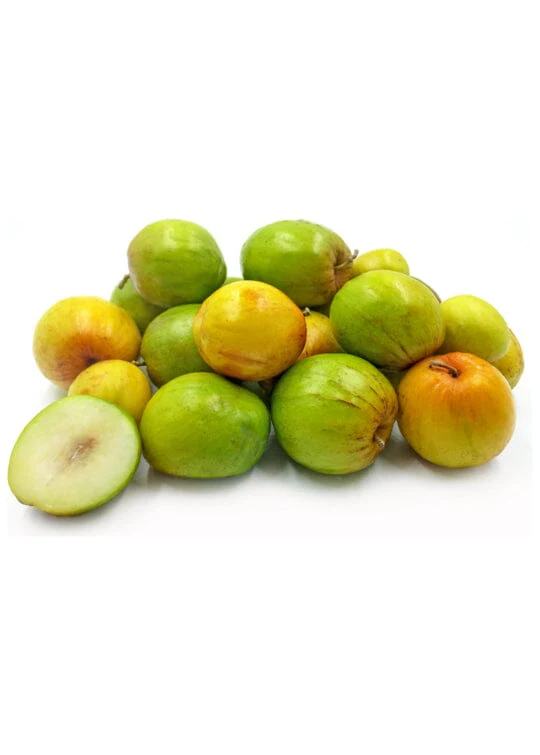 Jujube Tree Grafted - Image 5