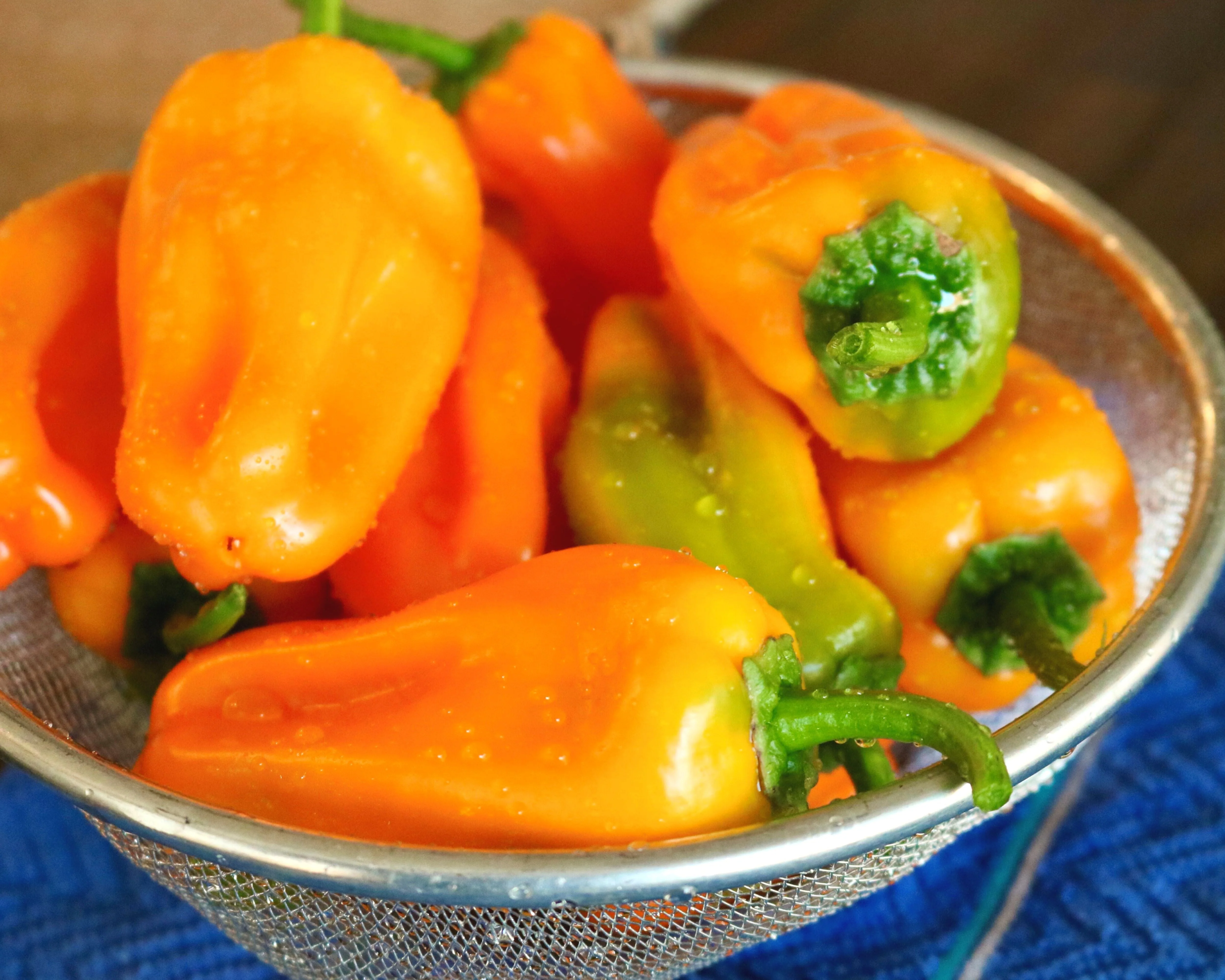 Just Sweet Hybrid Snack Pepper - Image 2