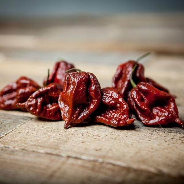 Kraken Scorpion Pepper Seeds - Image 2