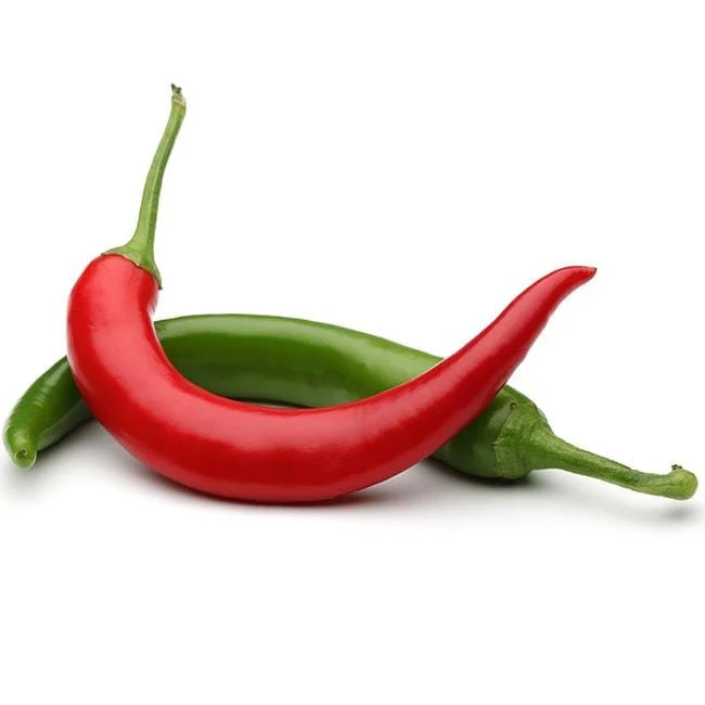 Kung Pao Pepper Seeds (Non-Isolated) - Image 2