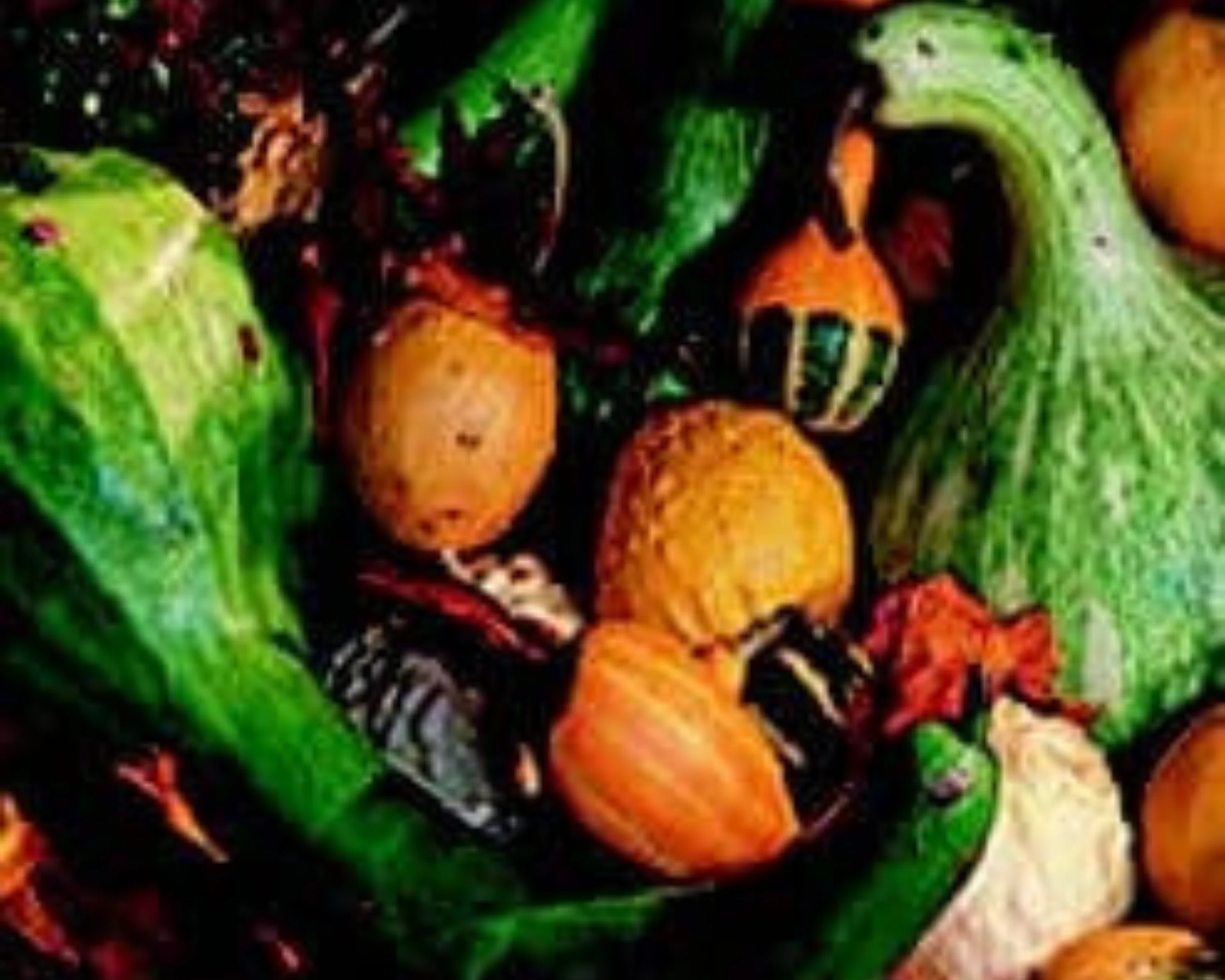 Large and Small Ornamental Mix Gourd Seeds - Image 2
