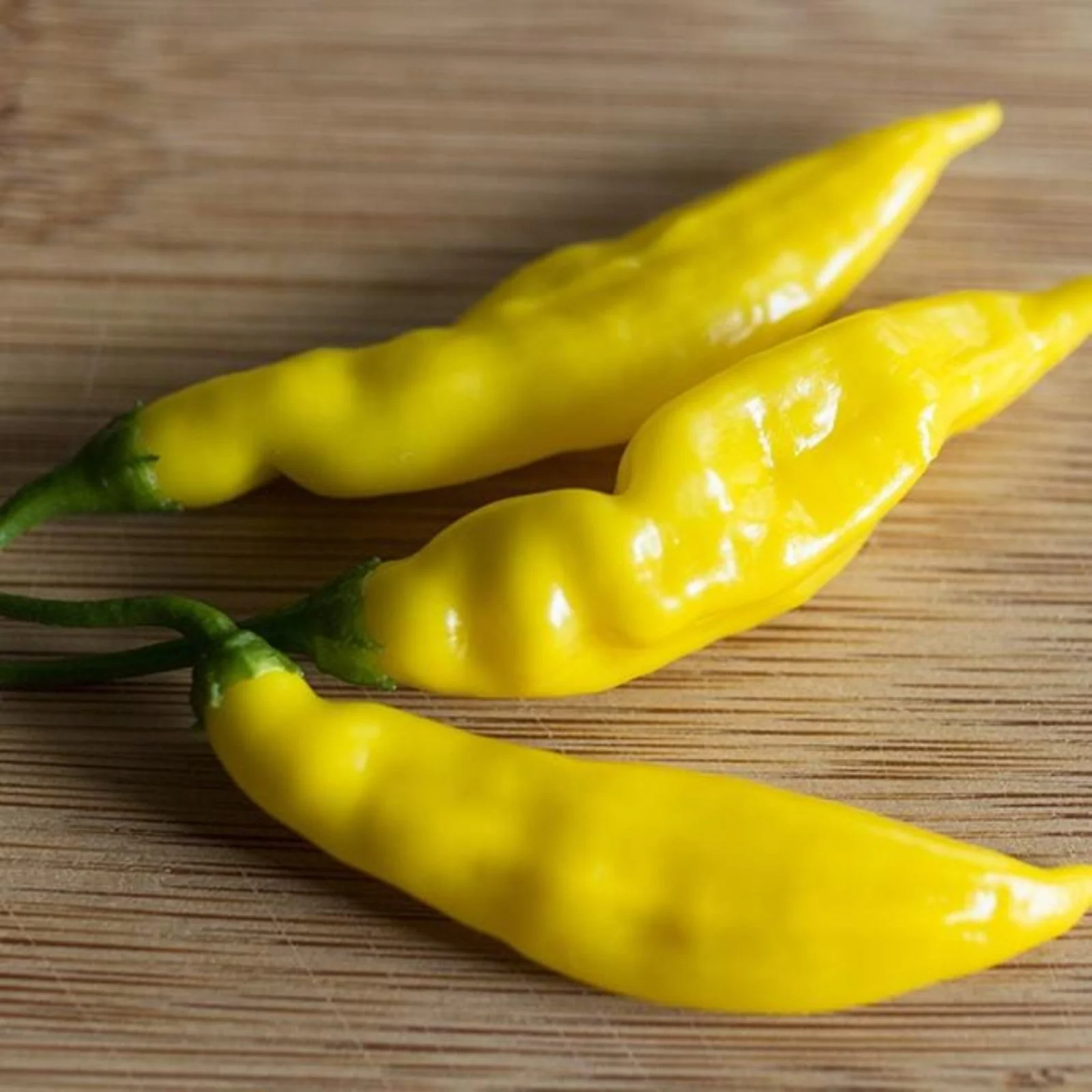 Lemon Drop Pepper Seeds - Image 4
