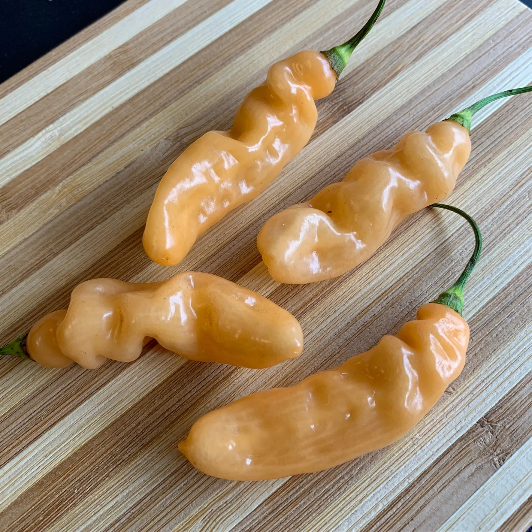 Lightning Habanero Peach - Seeds - Image 4