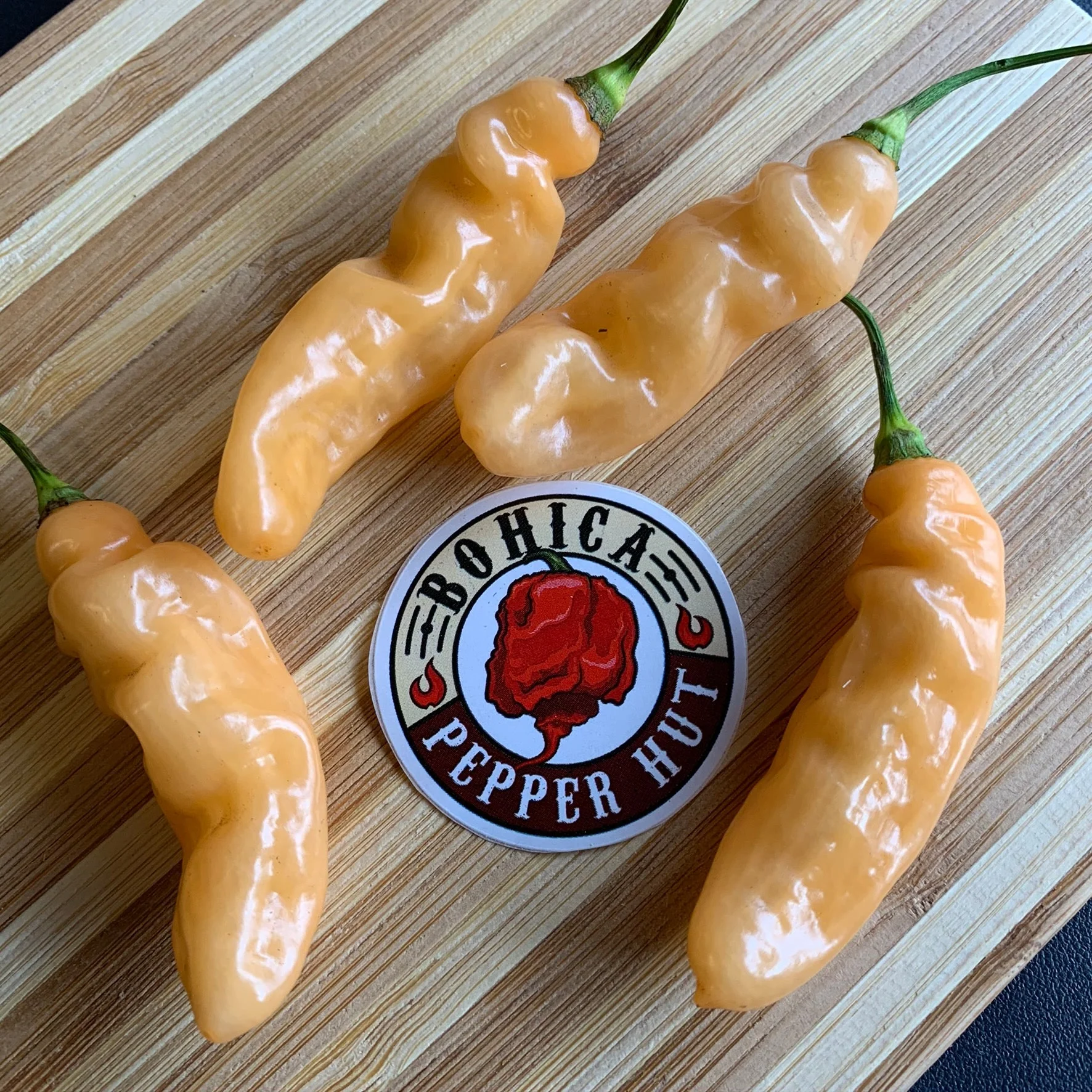 Lightning Habanero Peach - Seeds - Image 5