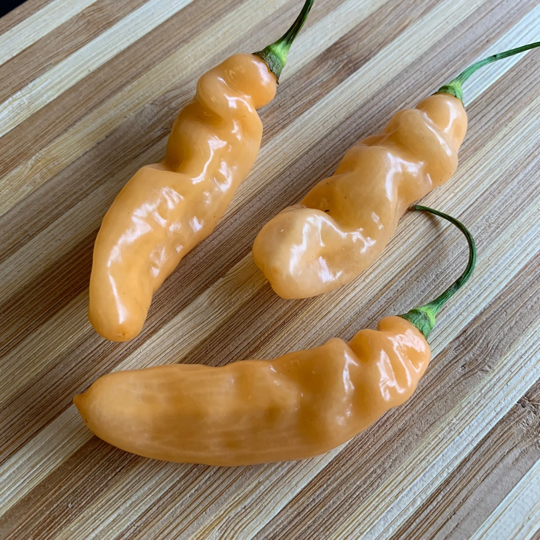 Lightning Habanero Peach - Seeds - Image 6