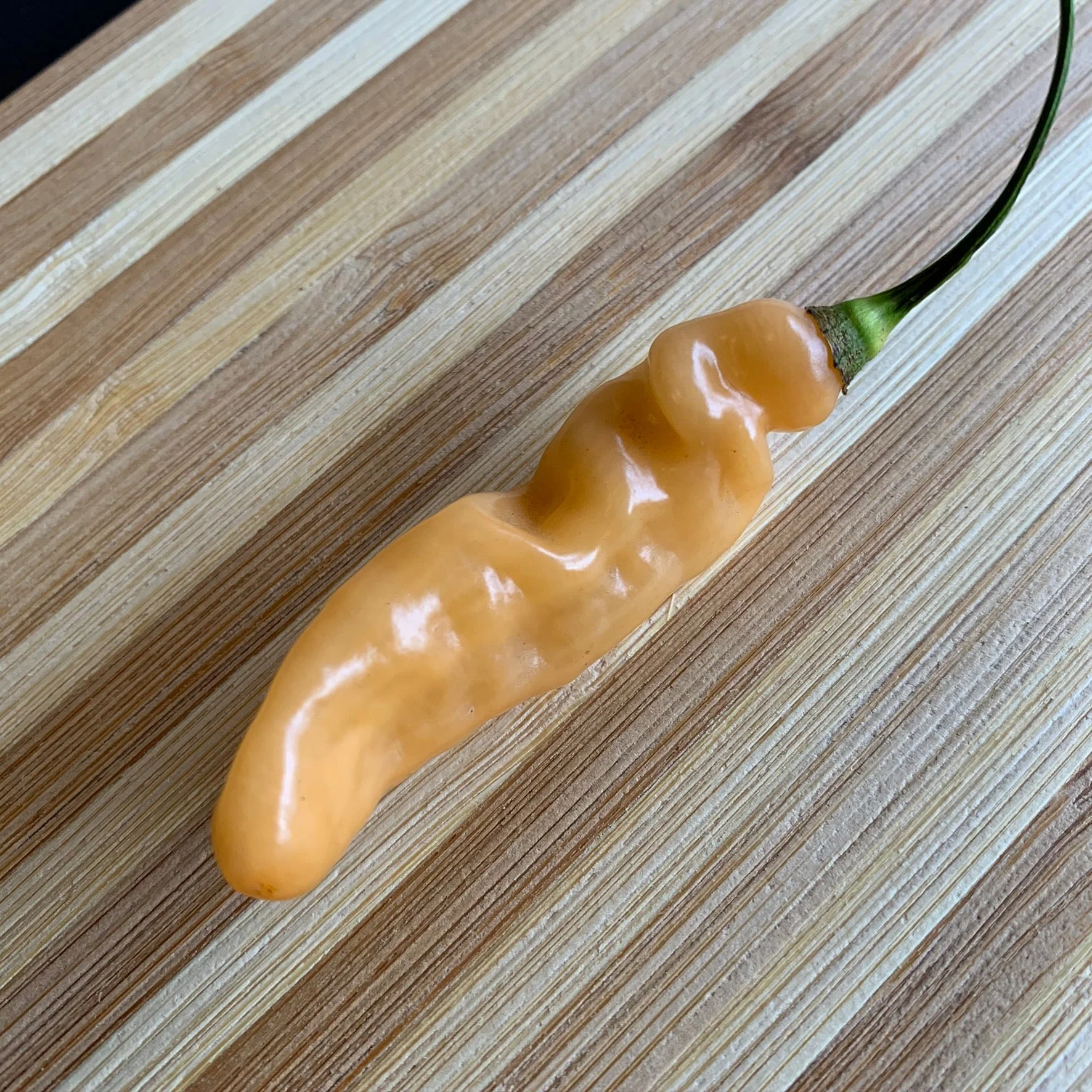Lightning Habanero Peach - Seeds - Image 7