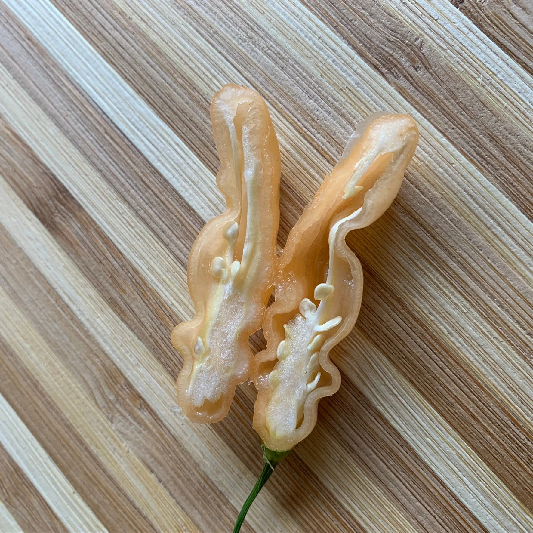 Lightning Habanero Peach - Seeds - Image 8