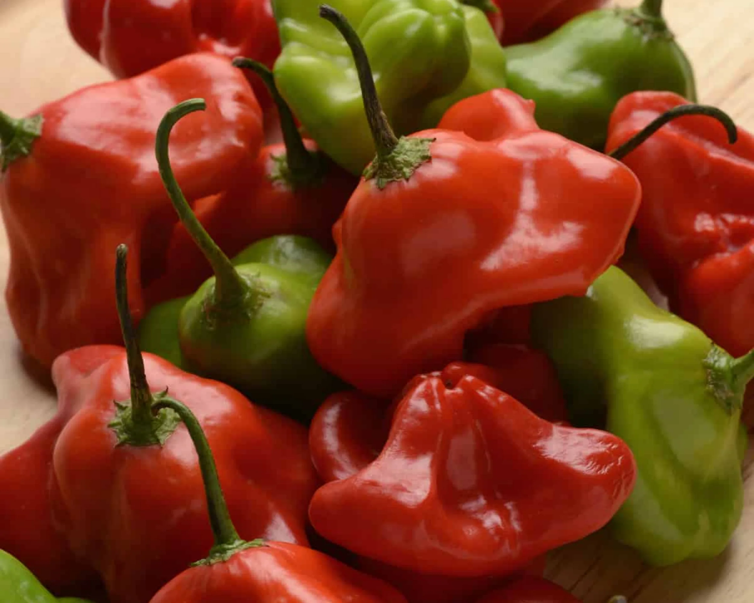 Mad Hatter Hybrid Pepper Seeds - Image 4