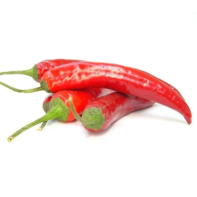 Malagueta Pepper Seeds - Image 2