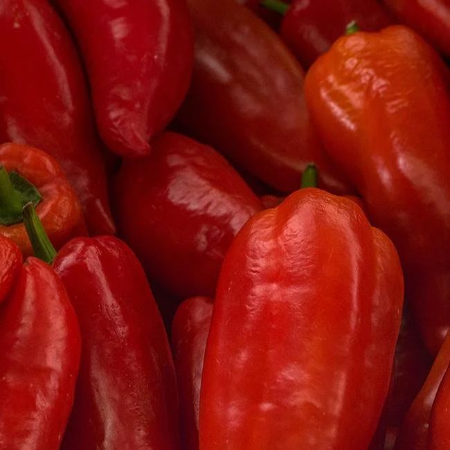 Marconi Italian Pepper Seeds - Image 2