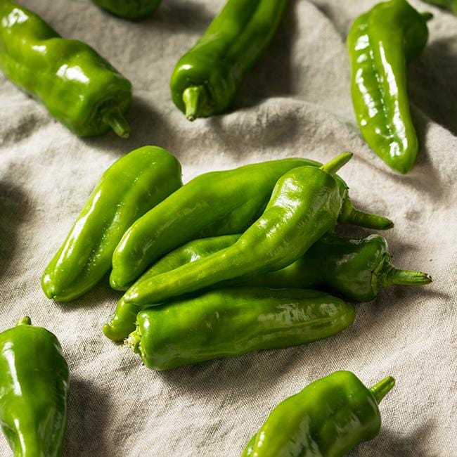 Melrose Hot Pepper Seeds - Image 2