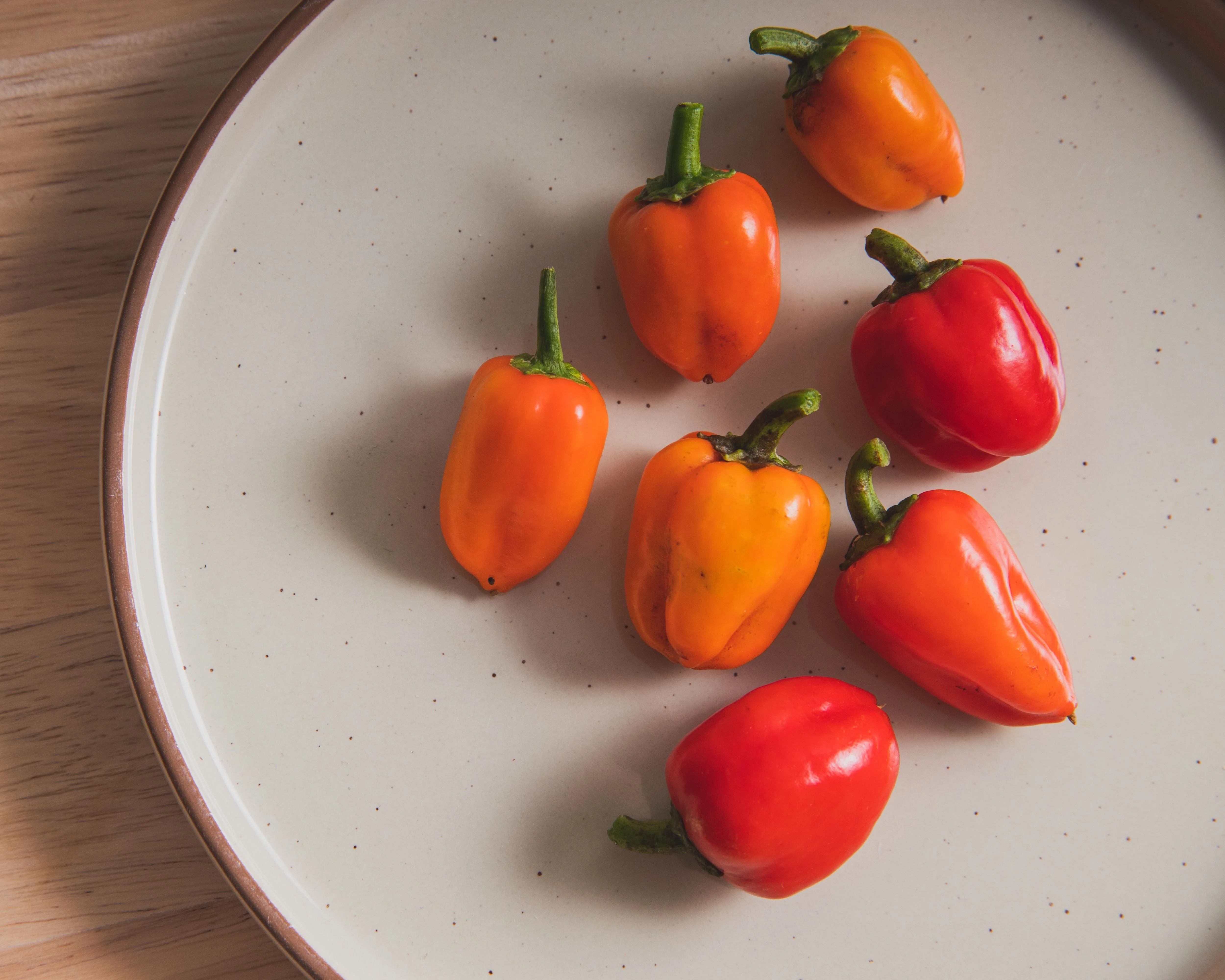 Mini Belle Mix Pepper Seeds - Image 2