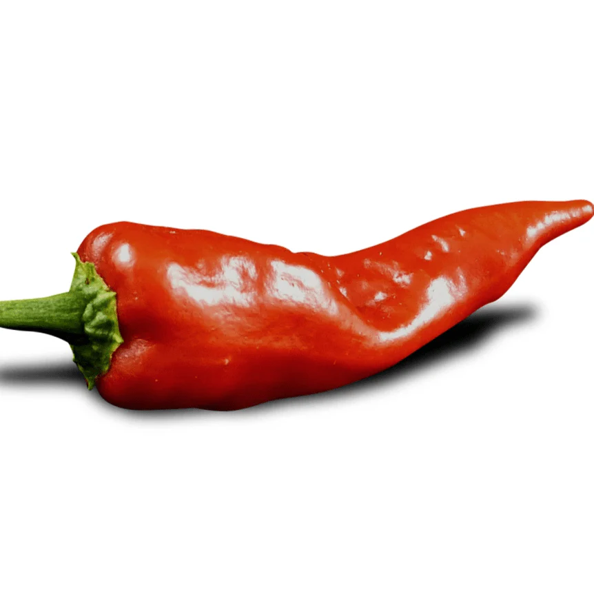 Mirasol Pepper Seeds - Image 4