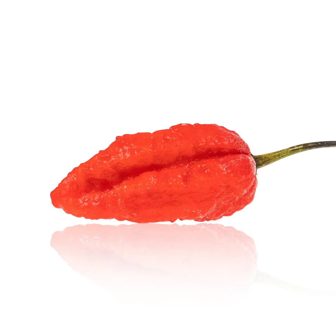 Mojo Pumpkintail Chili Pepper Seeds - Image 2