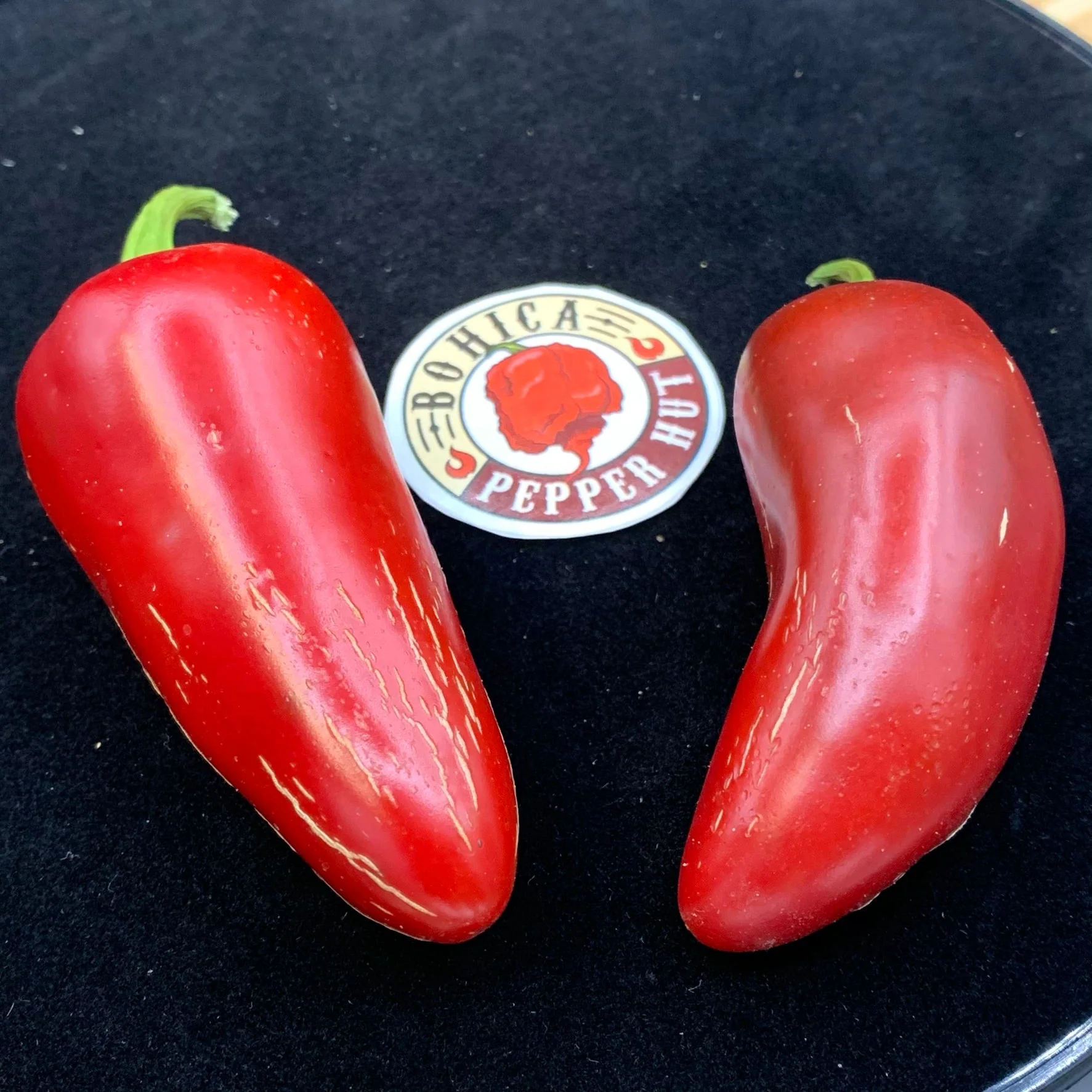 Monster Jalapeno - Seeds - Image 2