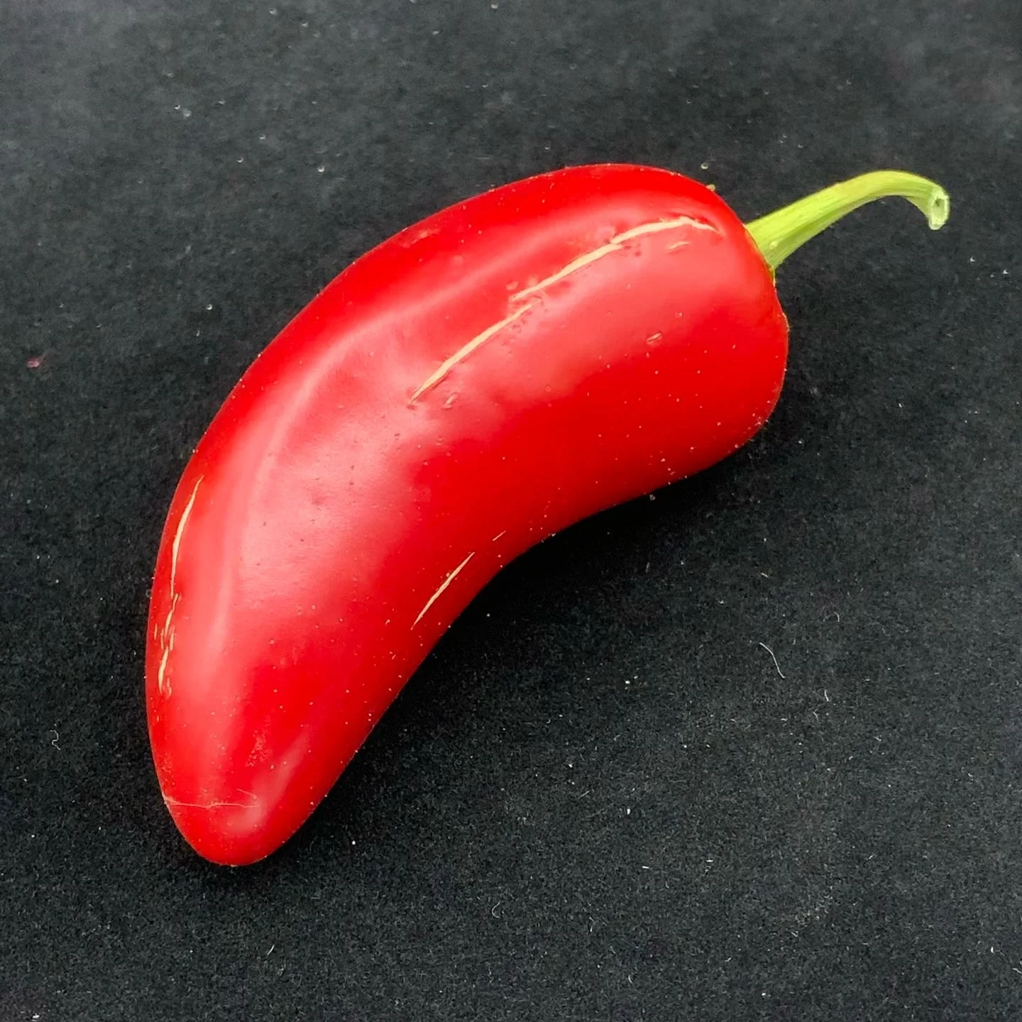 Monster Jalapeno - Seeds - Image 5