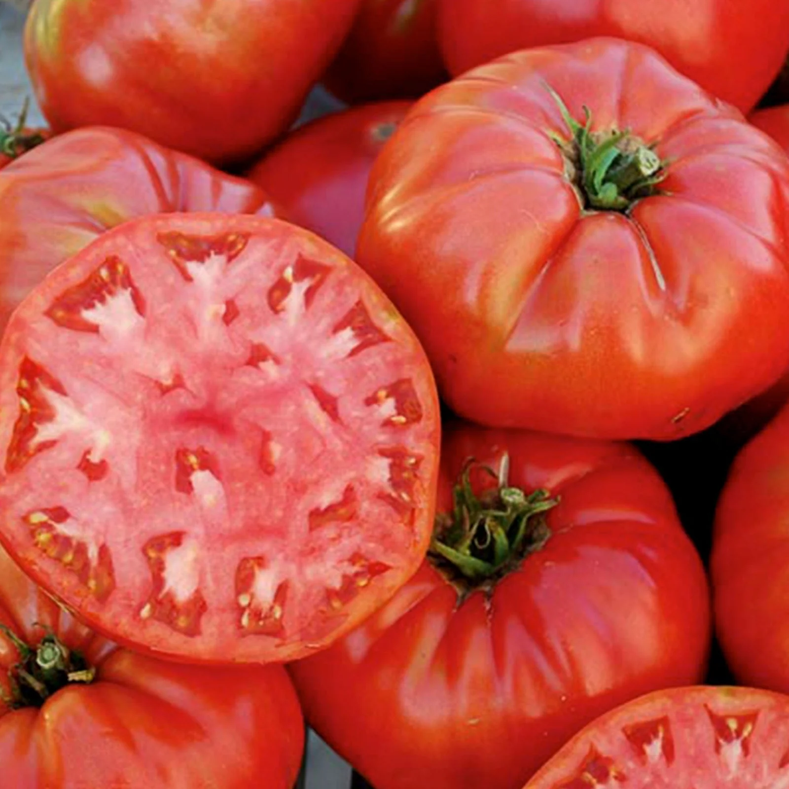 Mortgage Lifter Tomato Seeds - Image 5