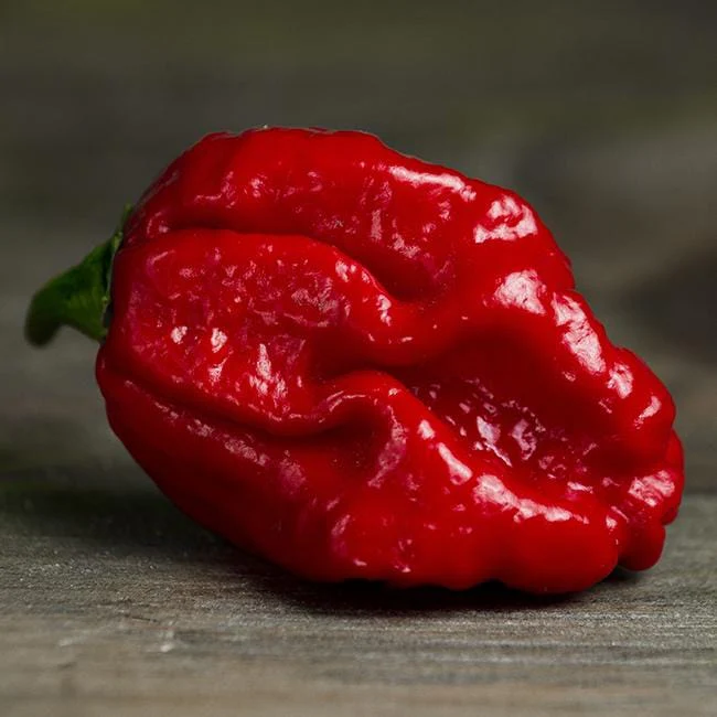 Moruga Trinidad Scorpion Pepper Seeds - Image 7