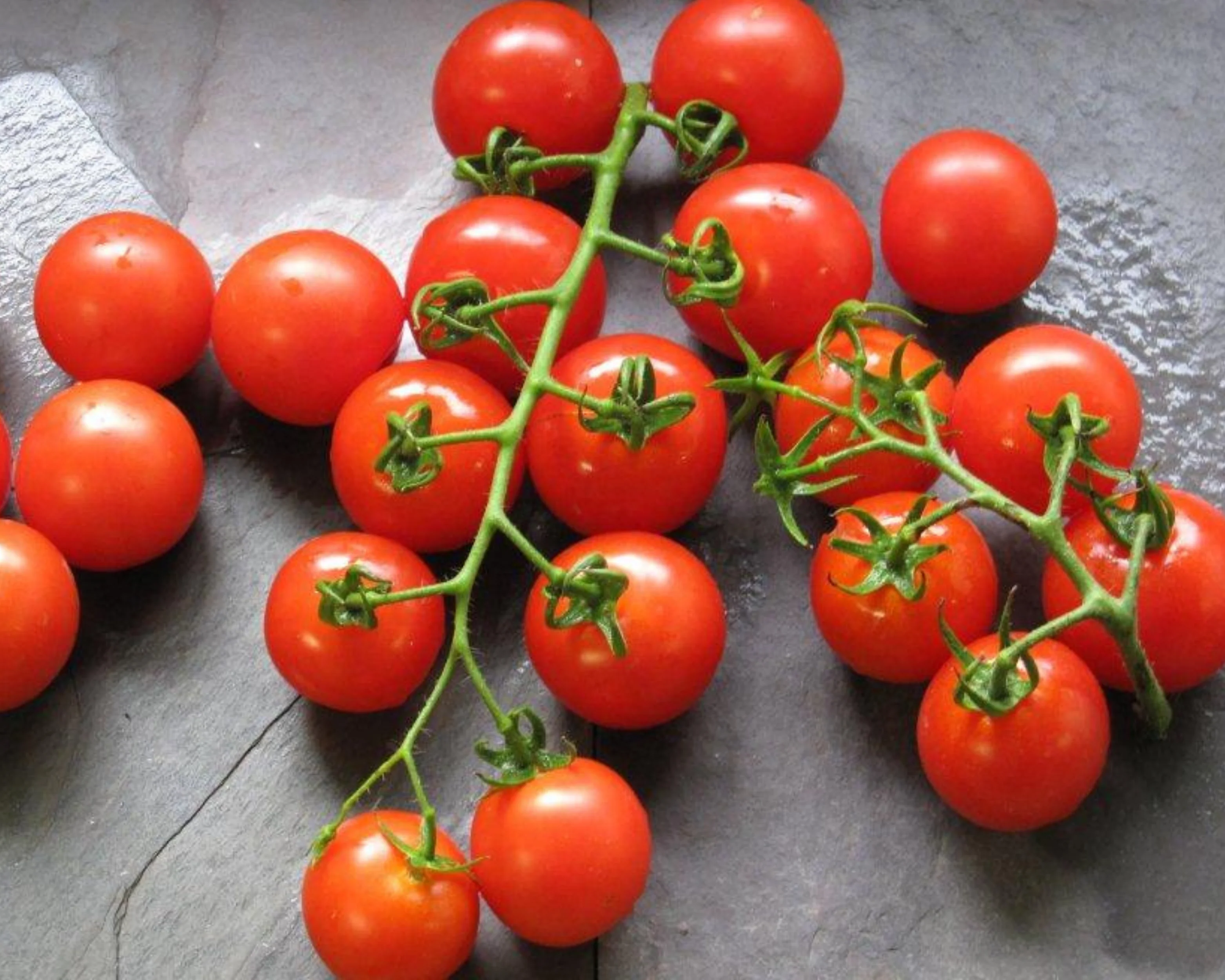 Mountain Magic Hybrid Tomato Seeds - Image 2