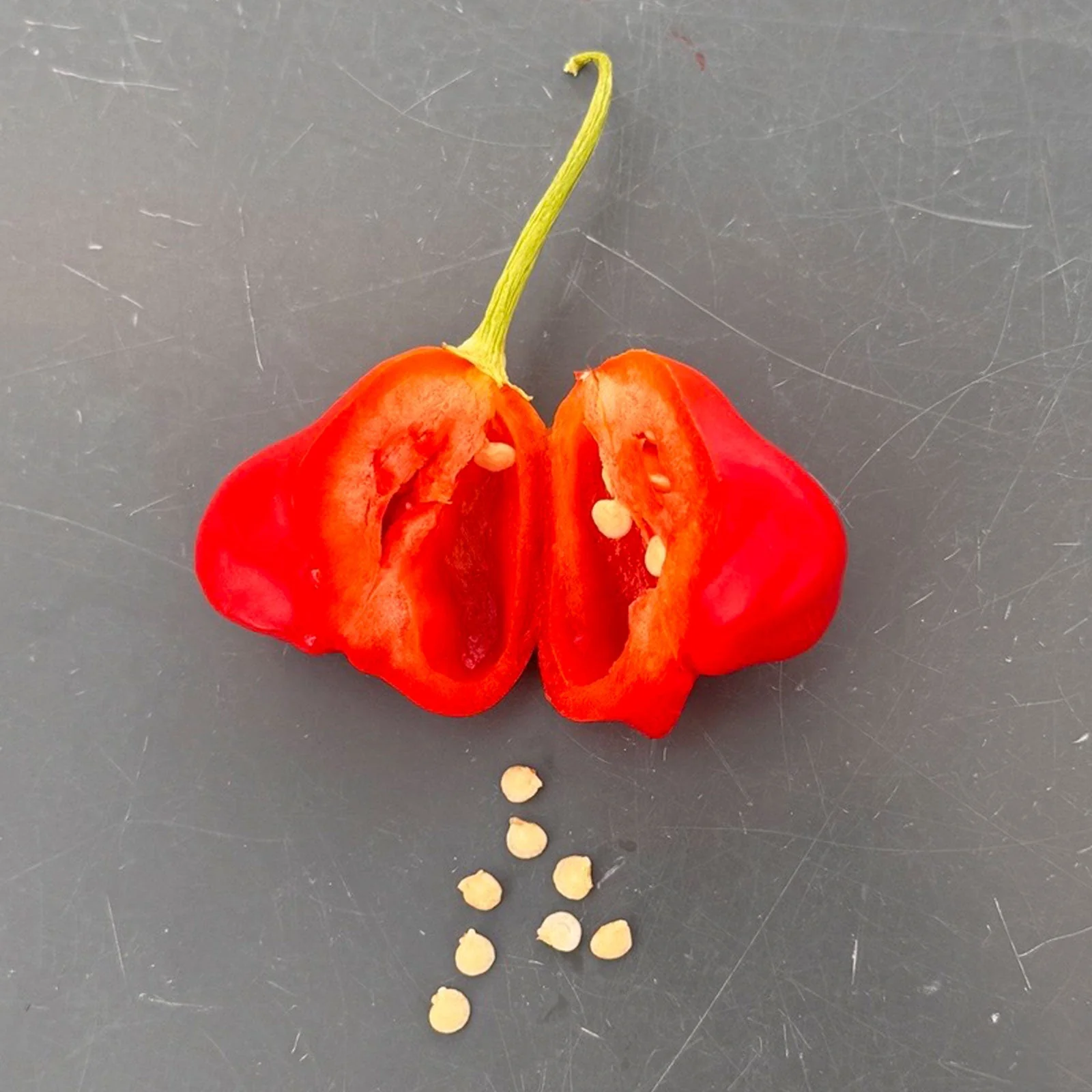 Mushroom Red Cap Pepper Seeds - Image 5