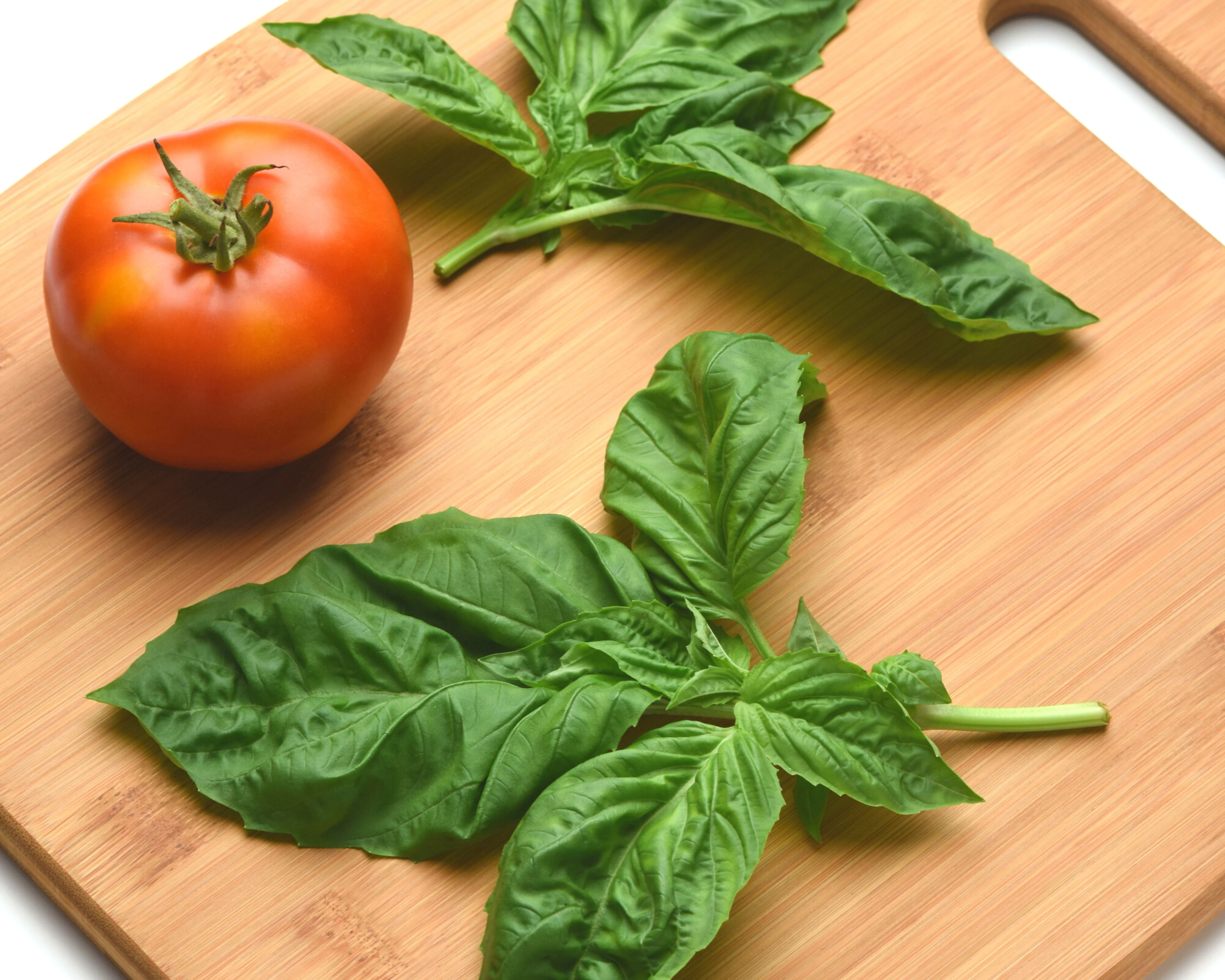 Newton Basil Seeds - Image 2