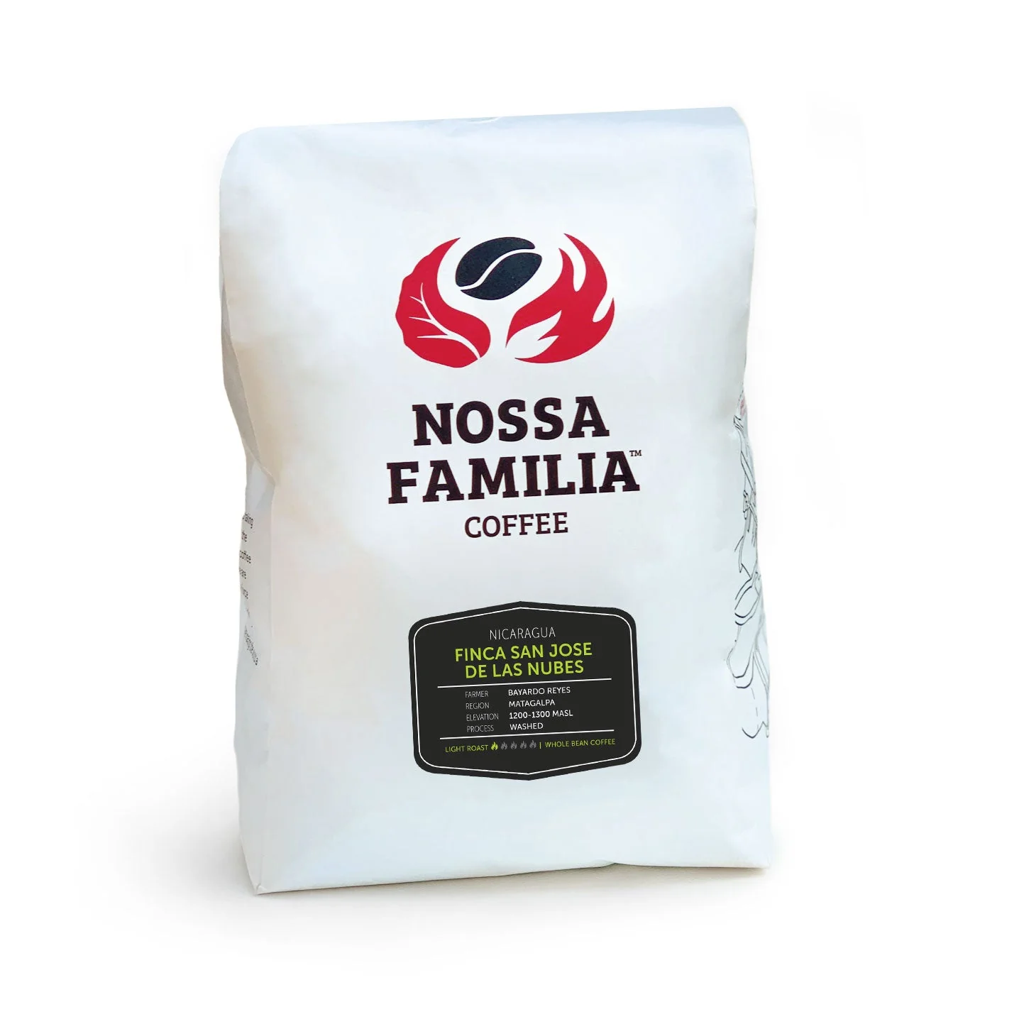 Nicaragua - Finca San Jose de las Nubes - Washed Process - Image 3