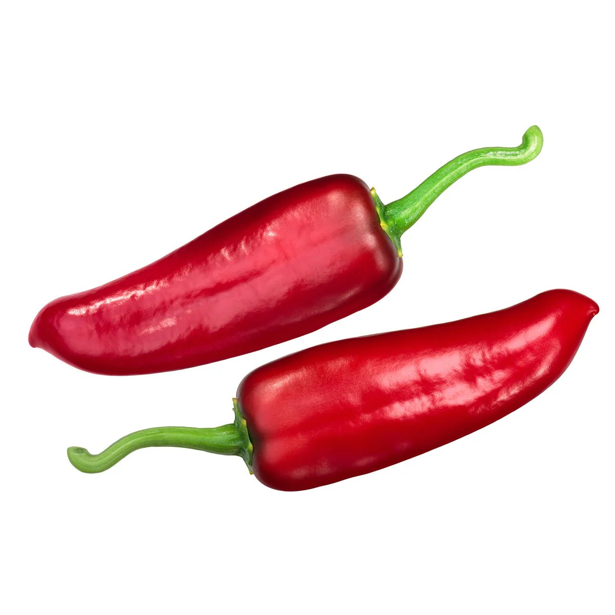 NuMex Joe E Parker Pepper Seeds - Image 2