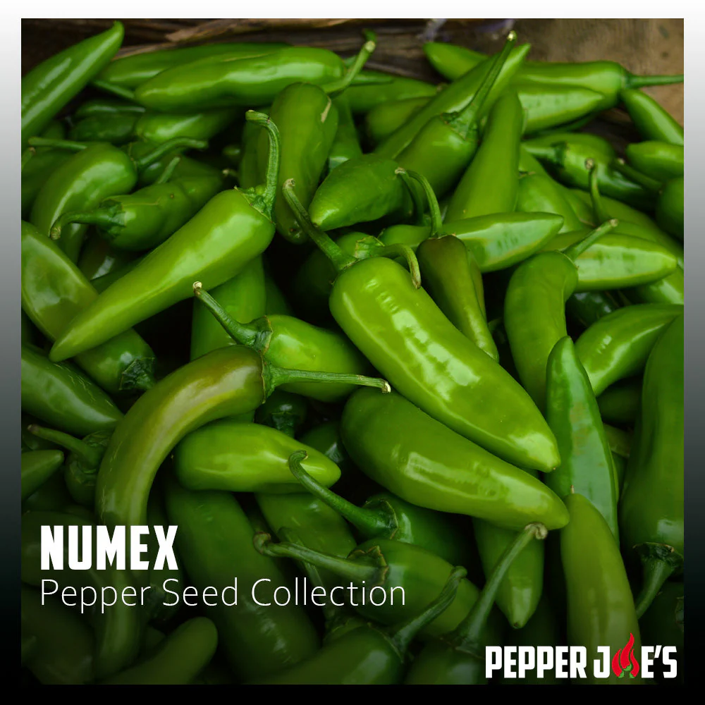 NuMex Pepper Seed Collection - Image 2