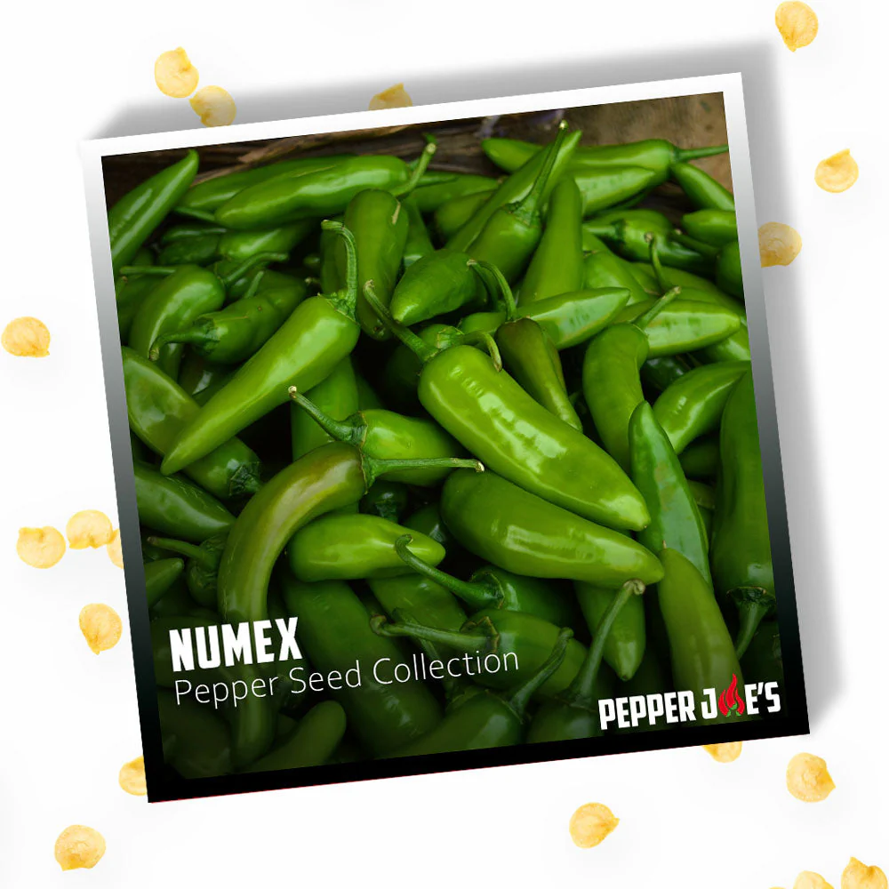 NuMex Pepper Seed Collection - Image 3
