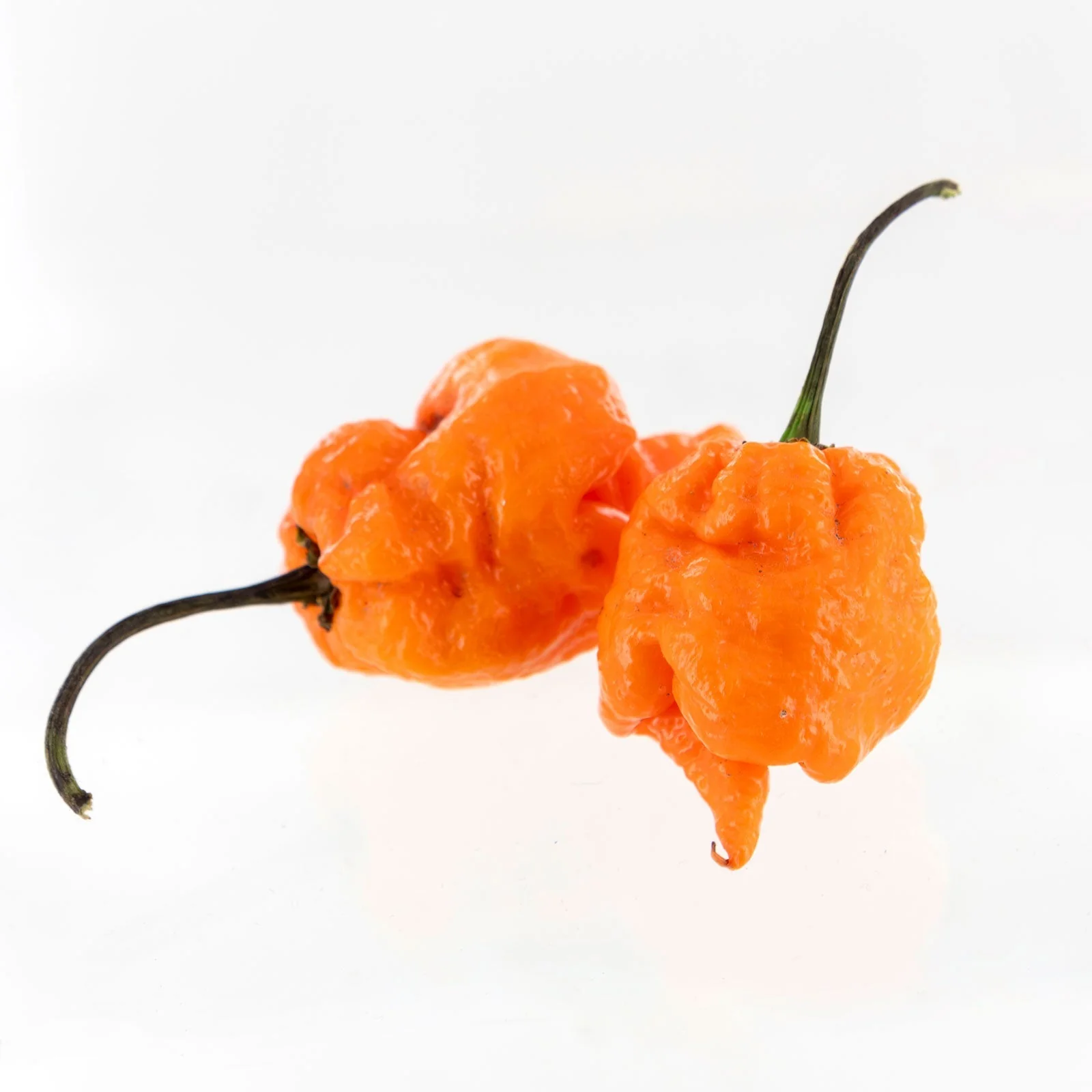 Orange Carolina Reaper Pepper Seeds - Image 2