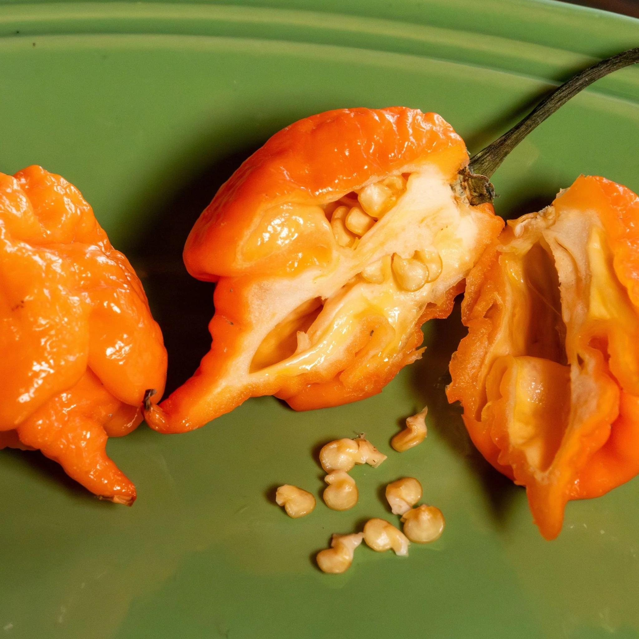 Orange Carolina Reaper Pepper Seeds - Image 4